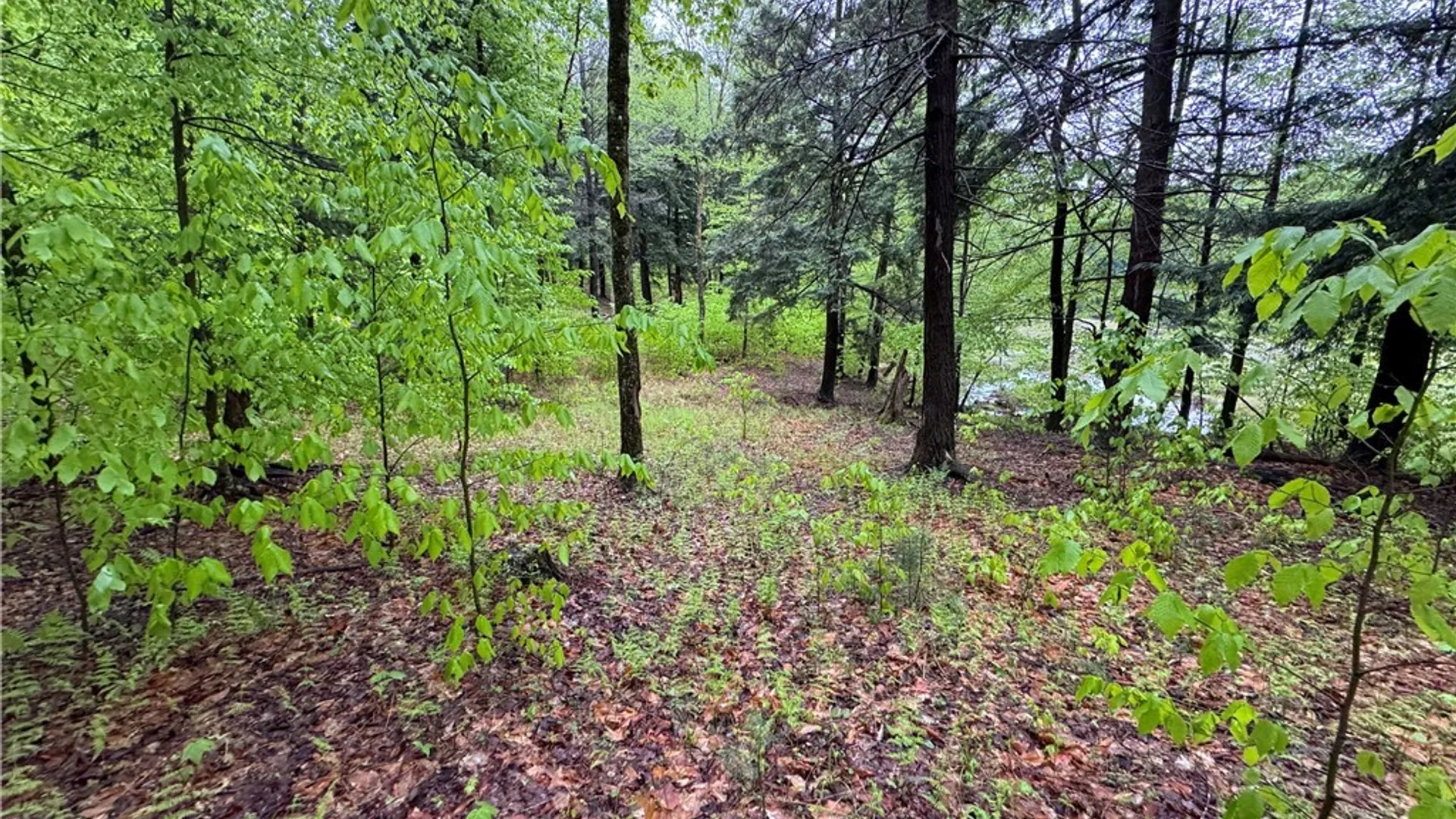 Property at 00 Hawkinsville Road, Forestport, NY 13338 11