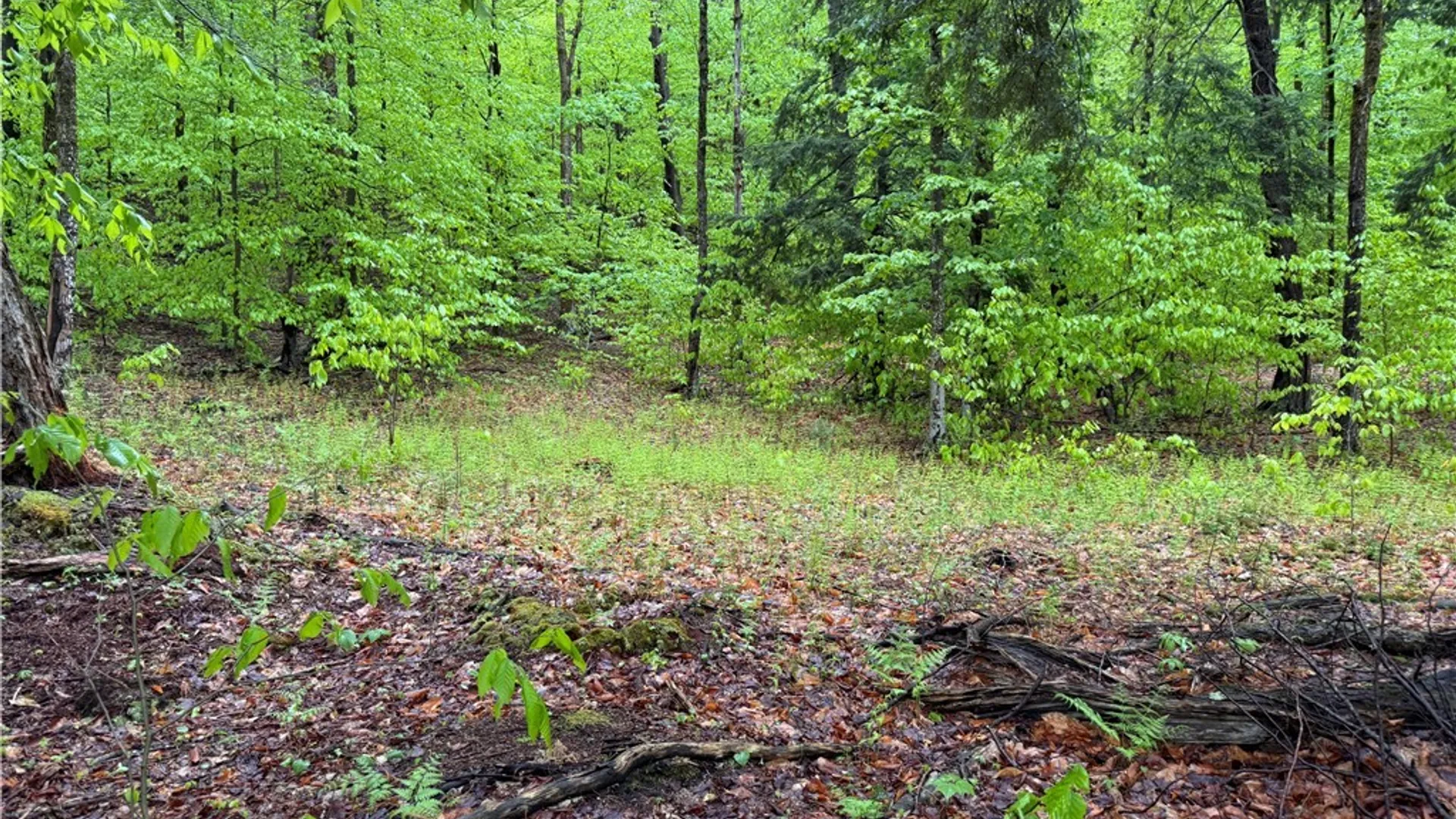 Property at 00 Hawkinsville Road, Forestport, NY 13338 12