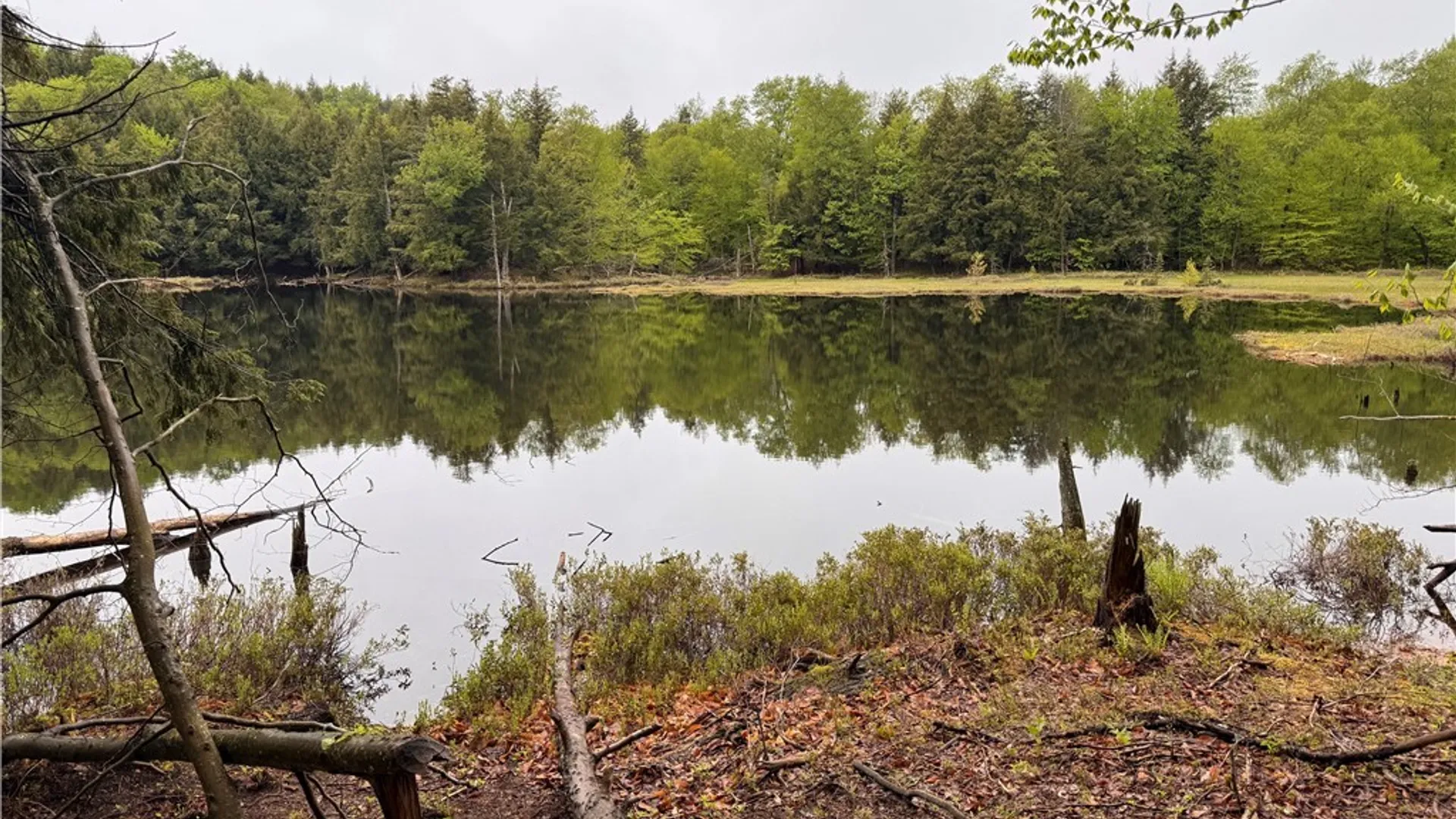 Property at 00 Hawkinsville Road, Forestport, NY 13338 14