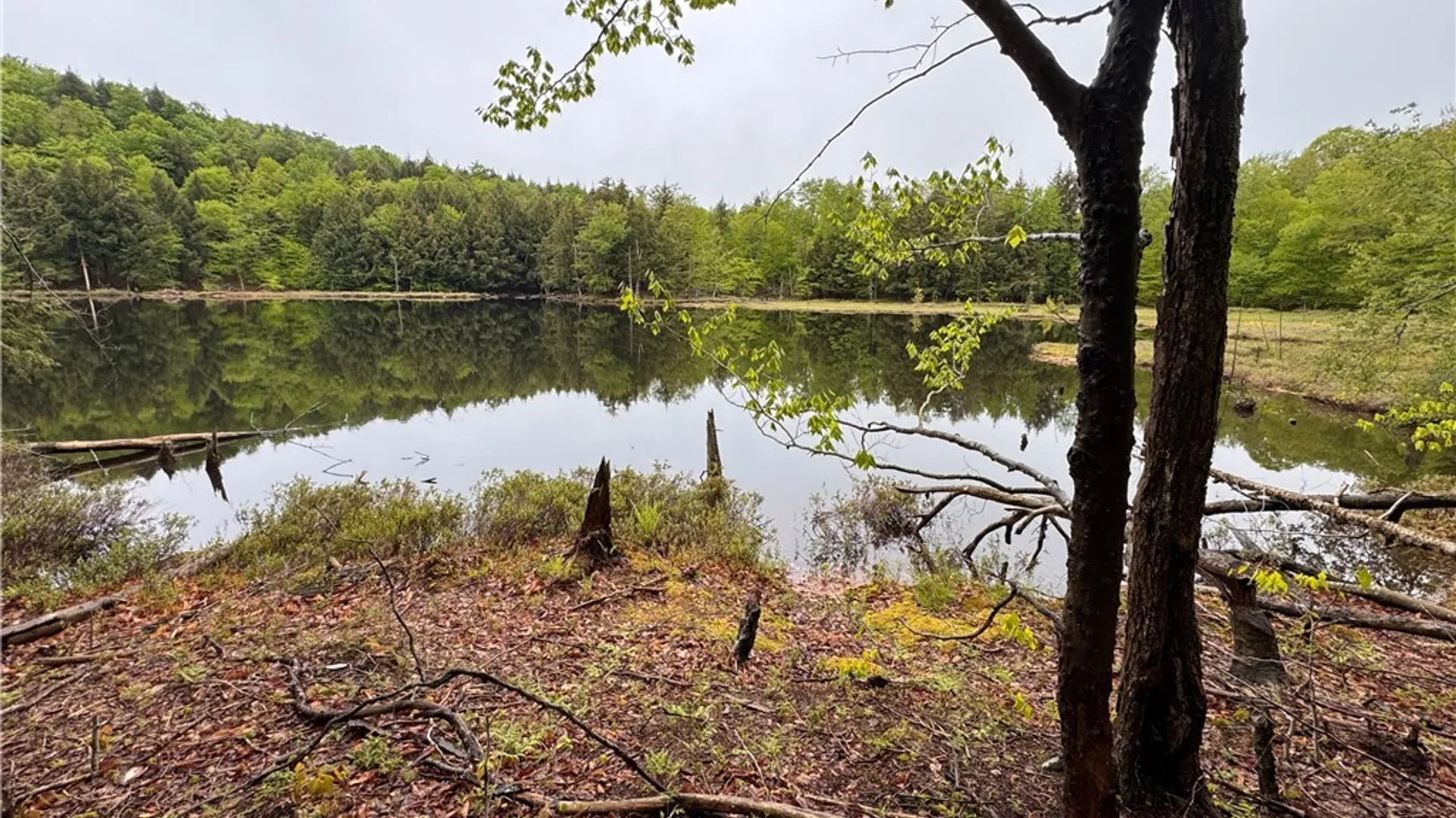 Property at 00 Hawkinsville Road, Forestport, NY 13338 15