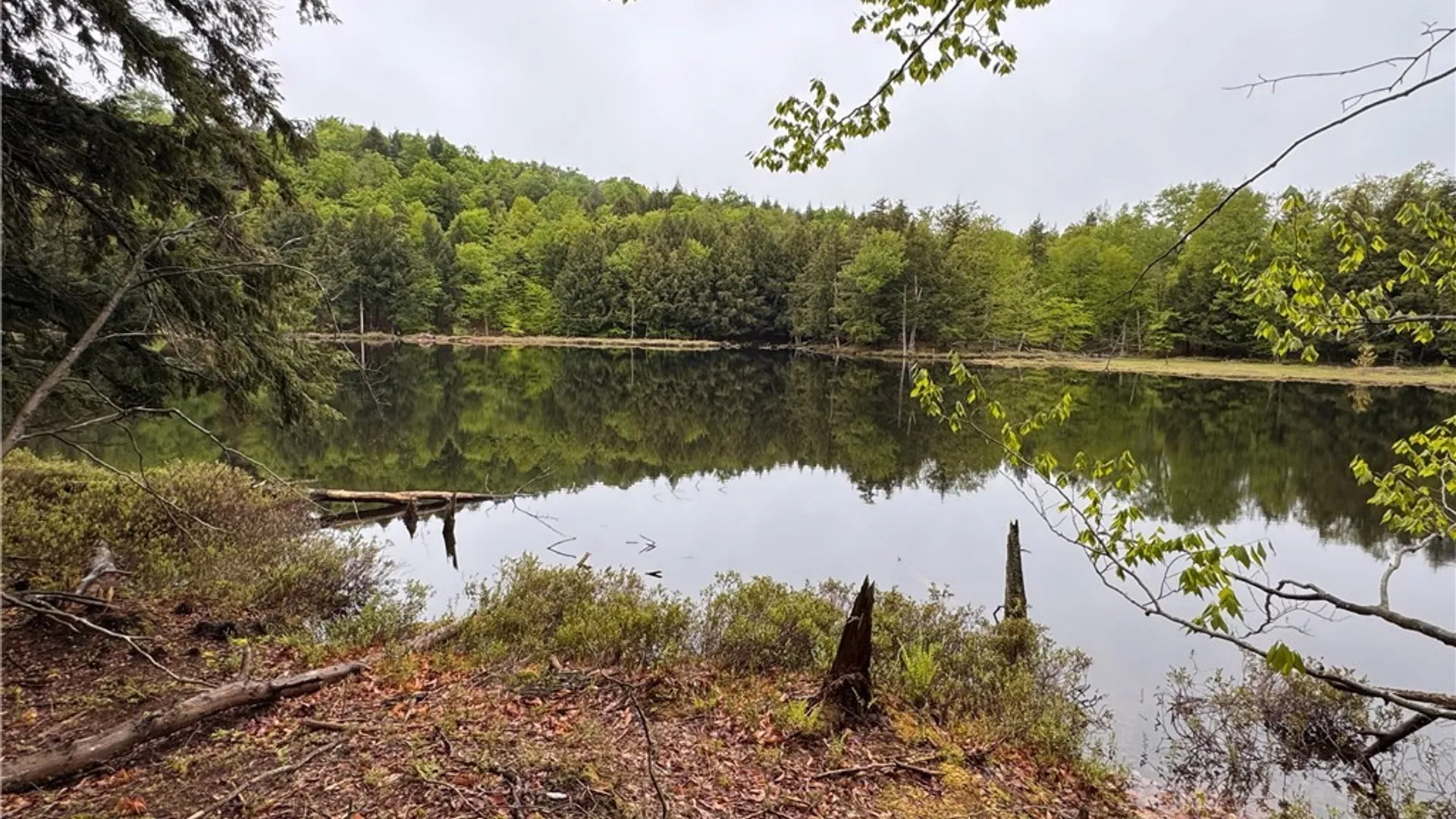 Property at 00 Hawkinsville Road, Forestport, NY 13338 16