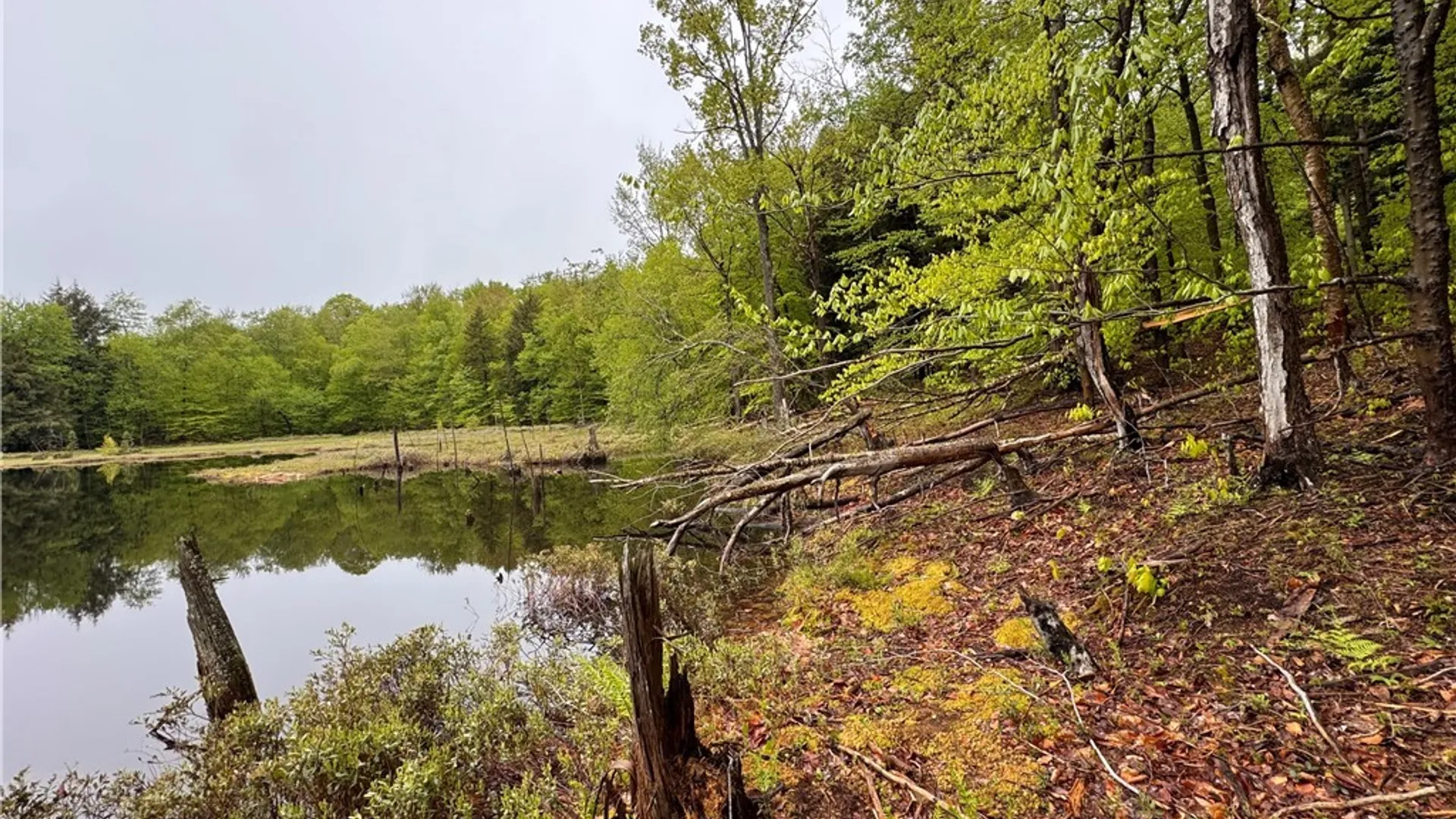 Property at 00 Hawkinsville Road, Forestport, NY 13338 21