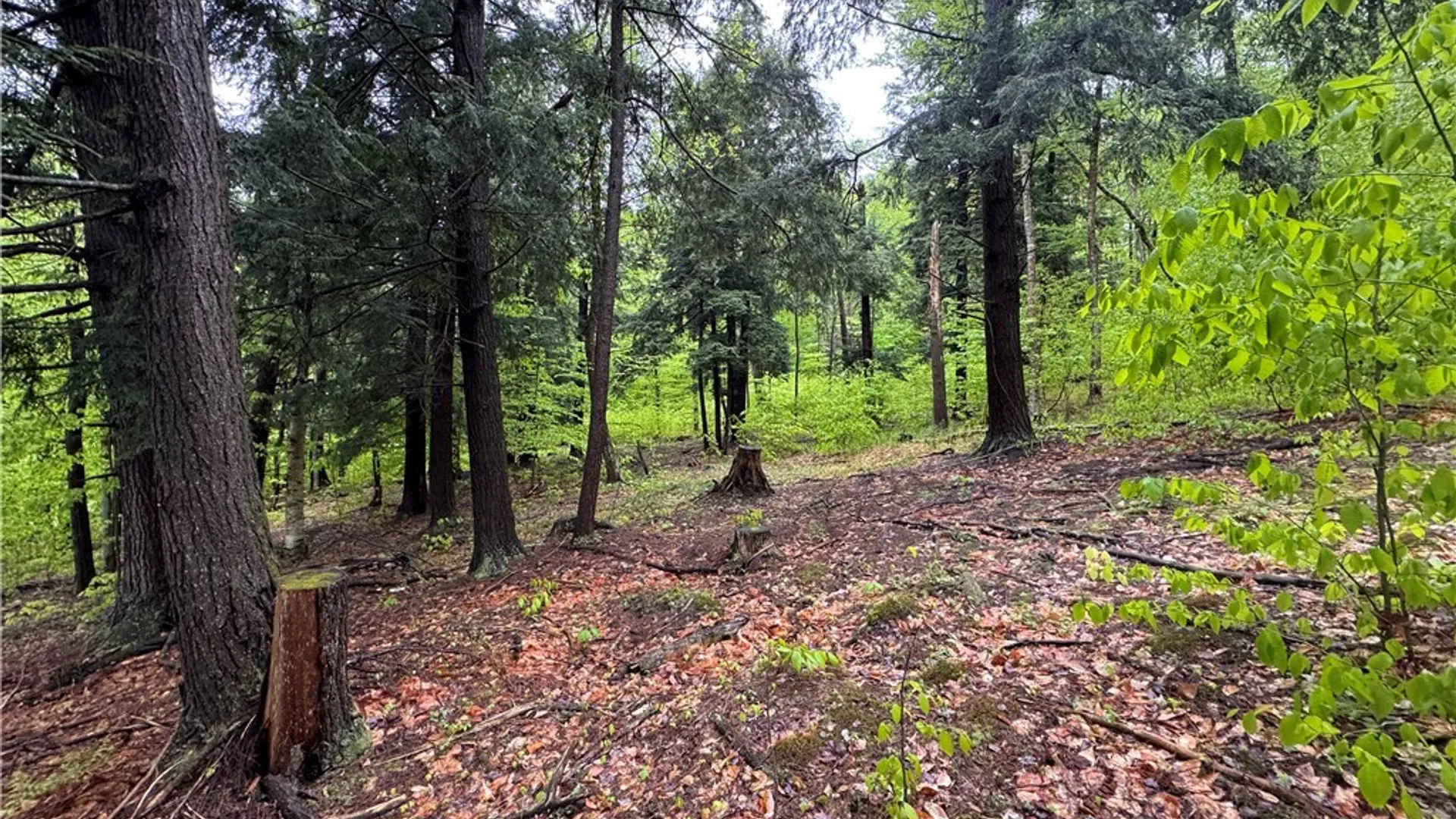 Property at 00 Hawkinsville Road, Forestport, NY 13338 22