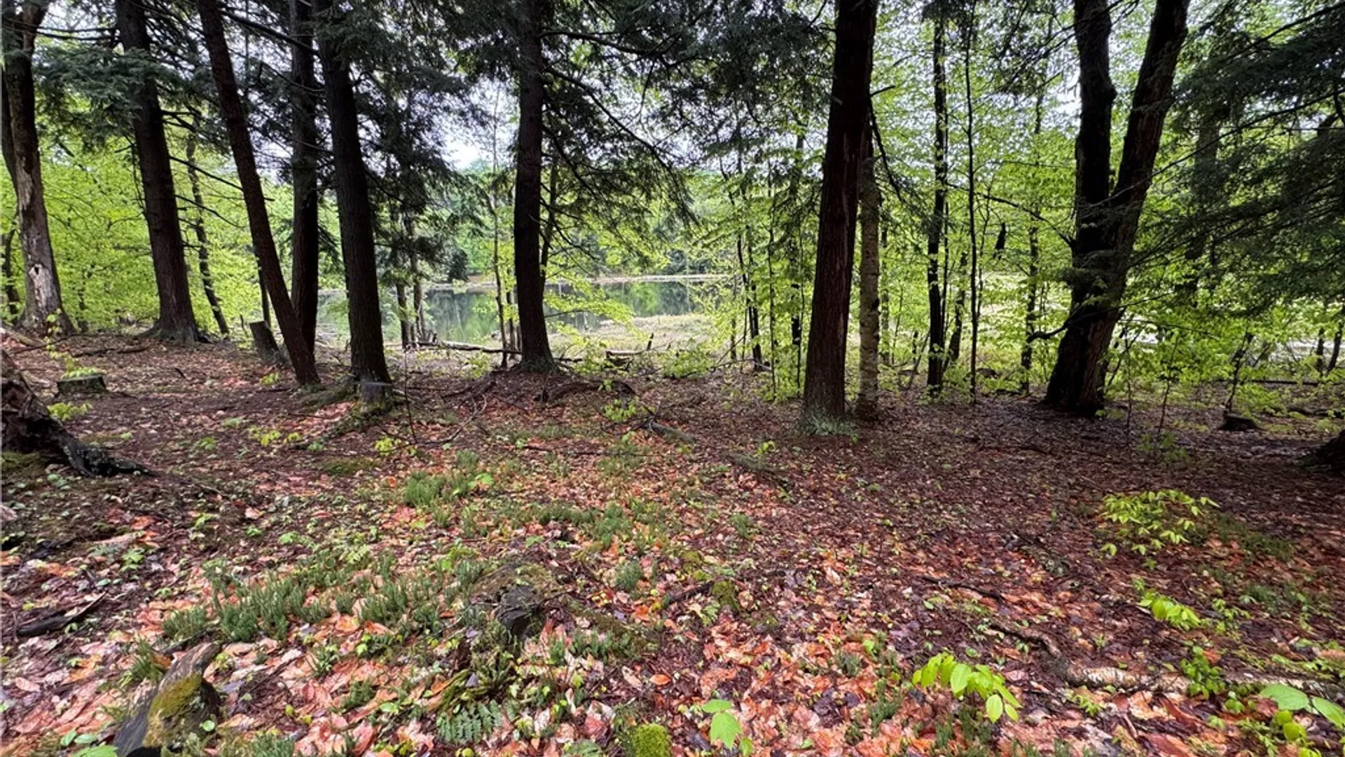 Property at 00 Hawkinsville Road, Forestport, NY 13338 23