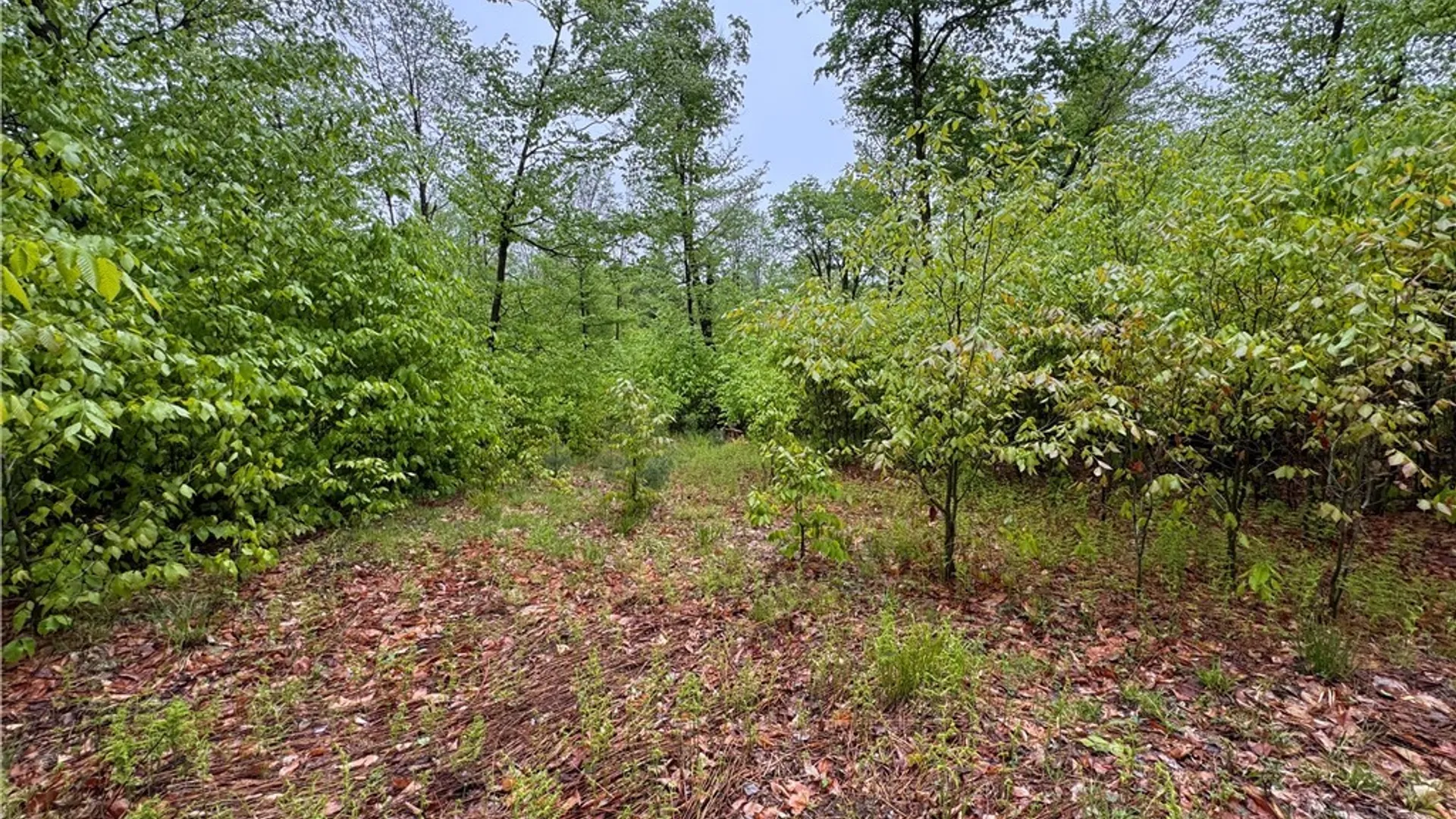 Property at 00 Hawkinsville Road, Forestport, NY 13338 25
