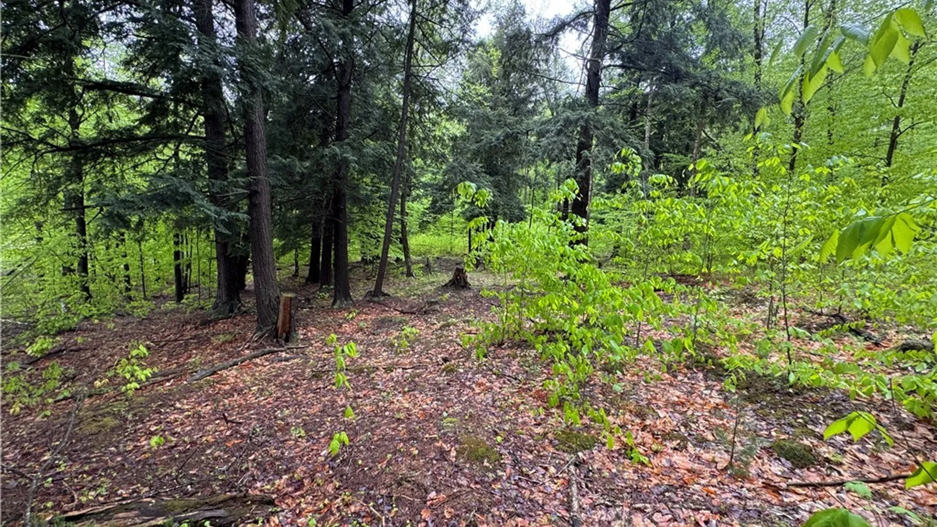 Property at 00 Hawkinsville Road, Forestport, NY 13338 26