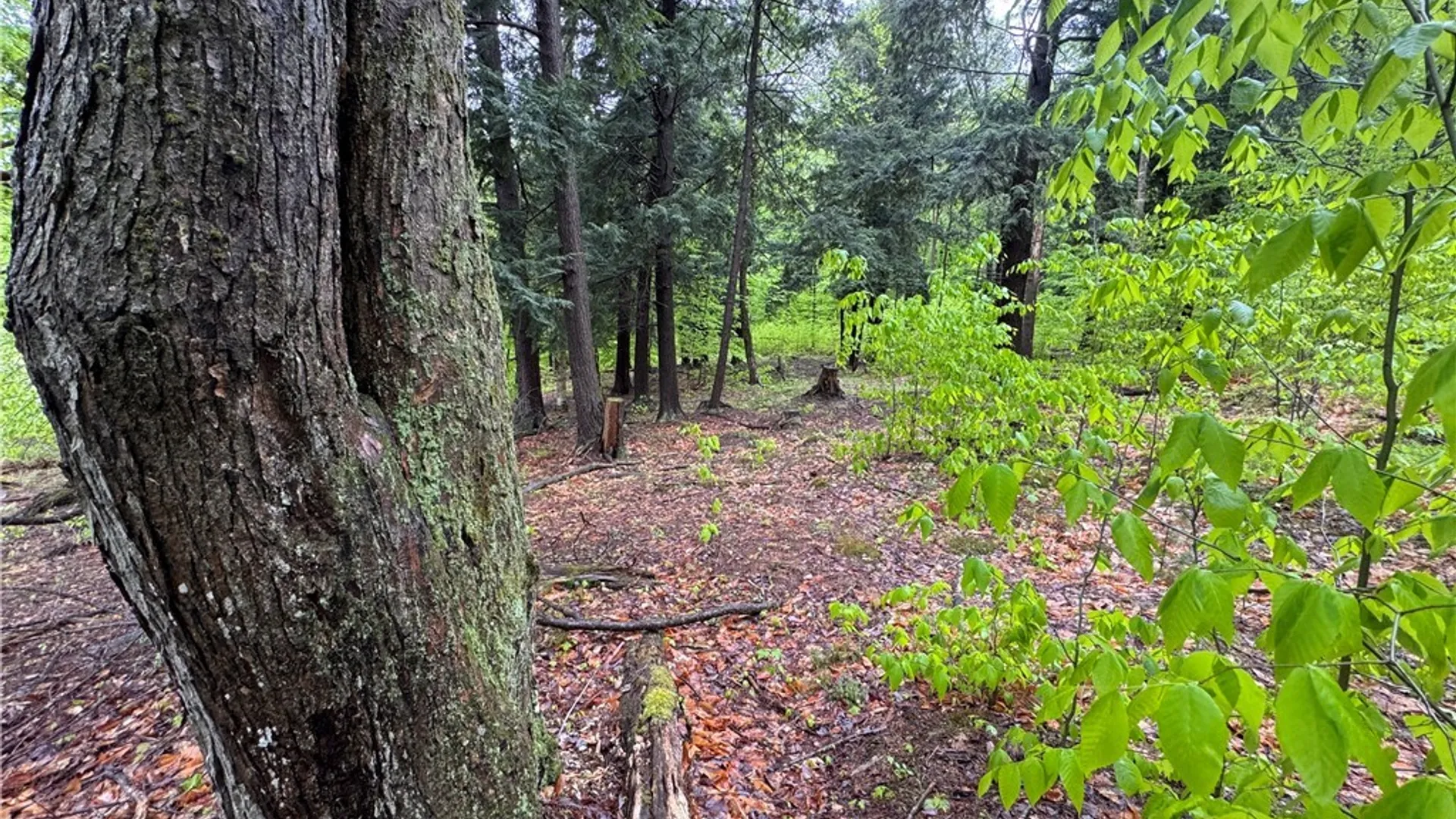 Property at 00 Hawkinsville Road, Forestport, NY 13338 27