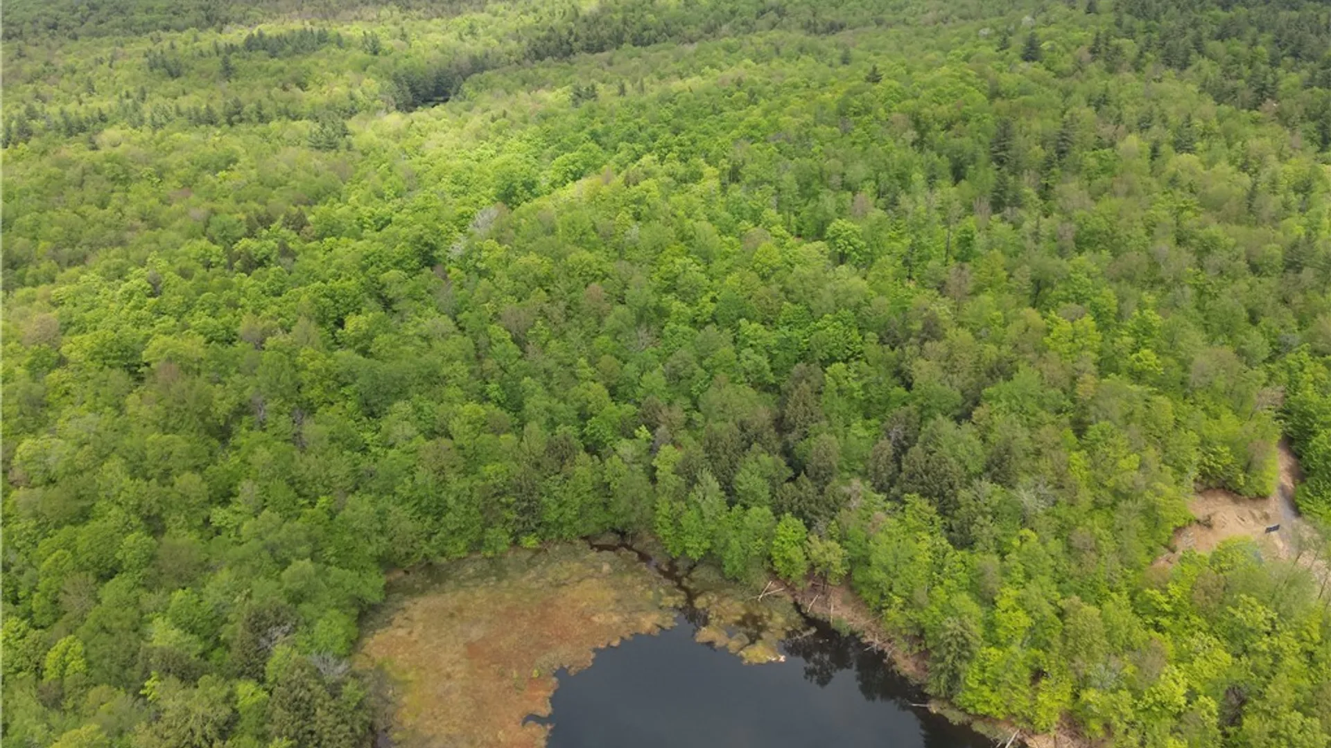 Property at 00 Hawkinsville Road, Forestport, NY 13338 5