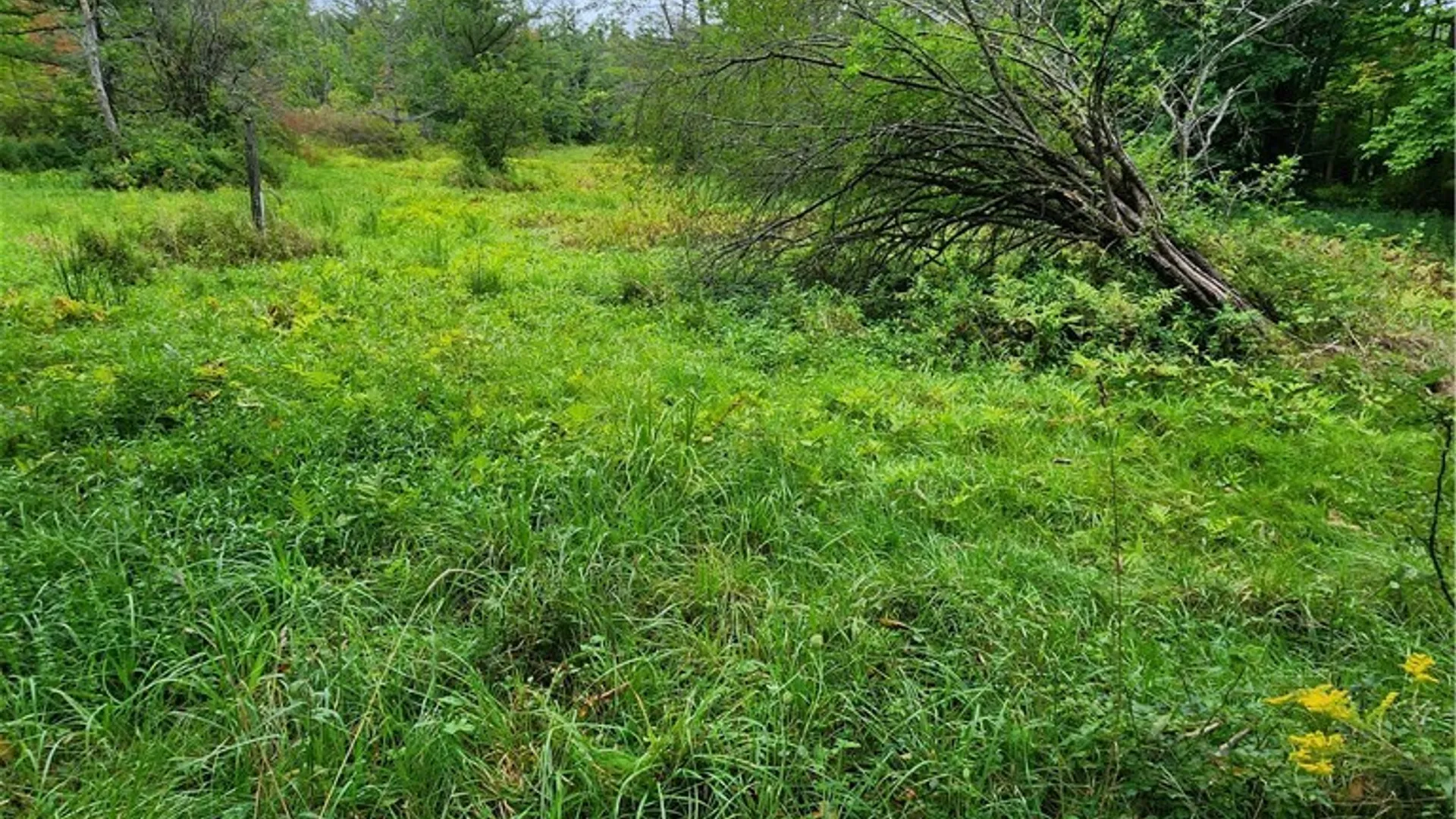 Property at 0 Lot #1 Cortland Road, Dryden, NY 13053 2