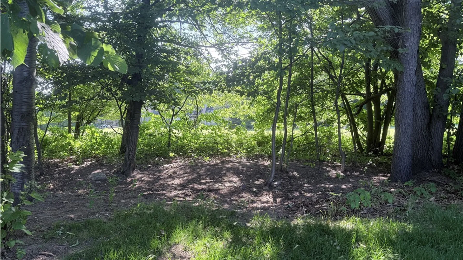 Property at 11 Harrington Drive, Perinton, NY 14450 31