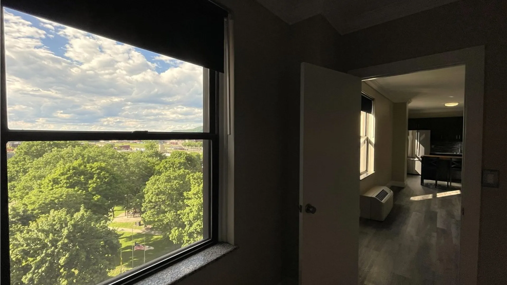 Property at 184 N Main Street, Elmira City, NY 14901 10