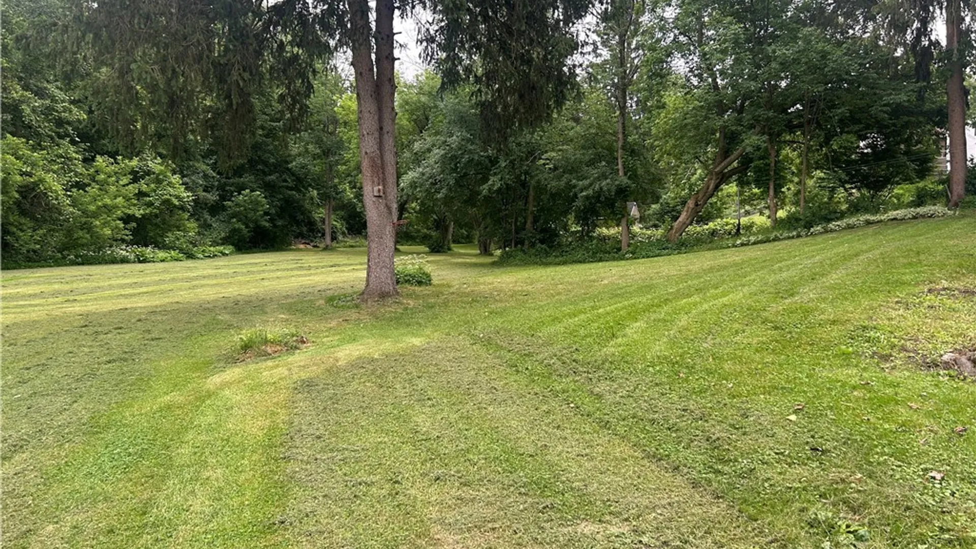 Property at 1413 Albany Street, Utica, NY 13501 6