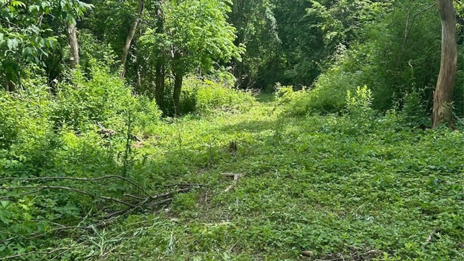 Property at 6201 Us-20, Lafayette, NY 13084 10