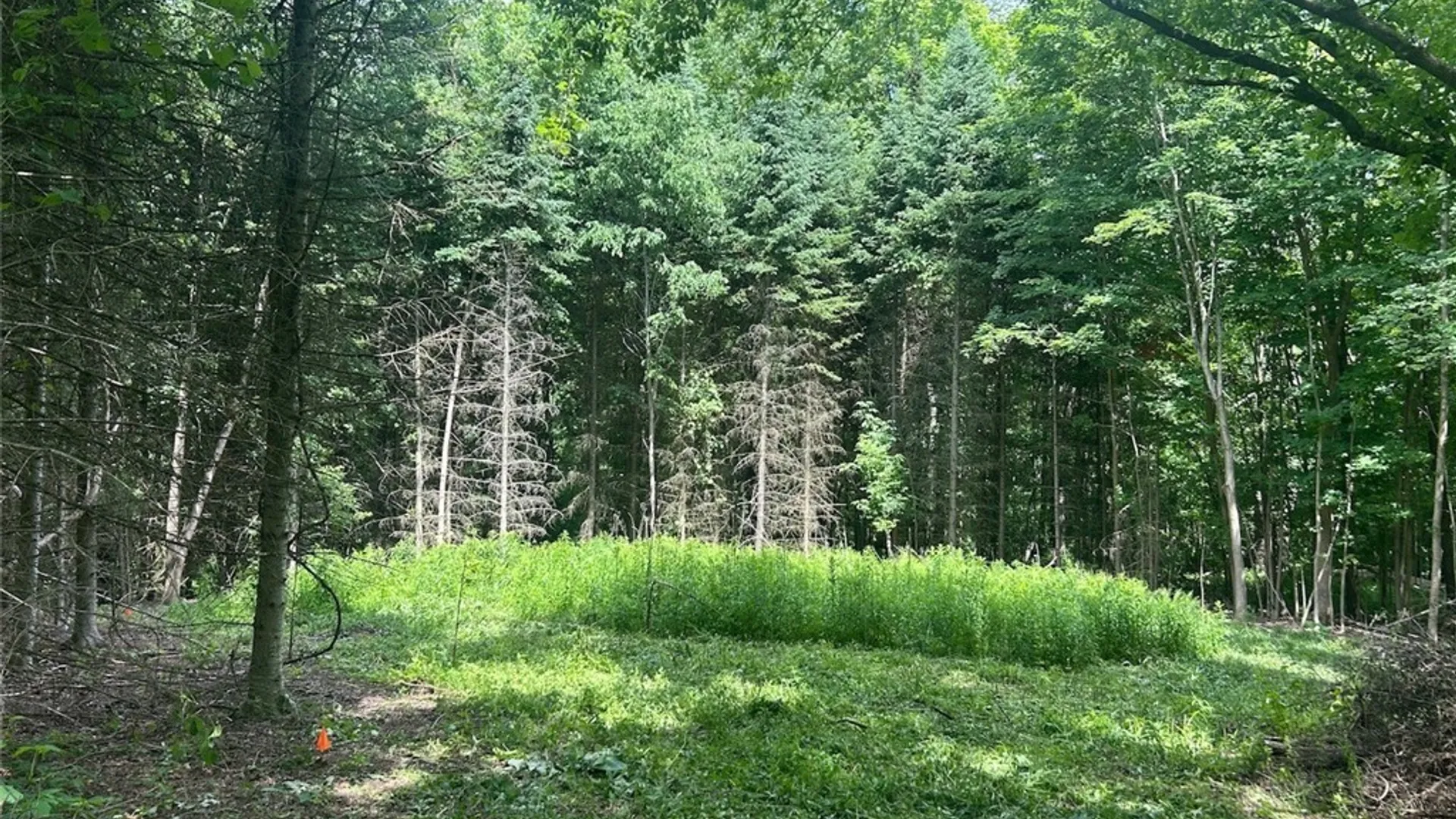 Property at 6201 Us-20, Lafayette, NY 13084 2