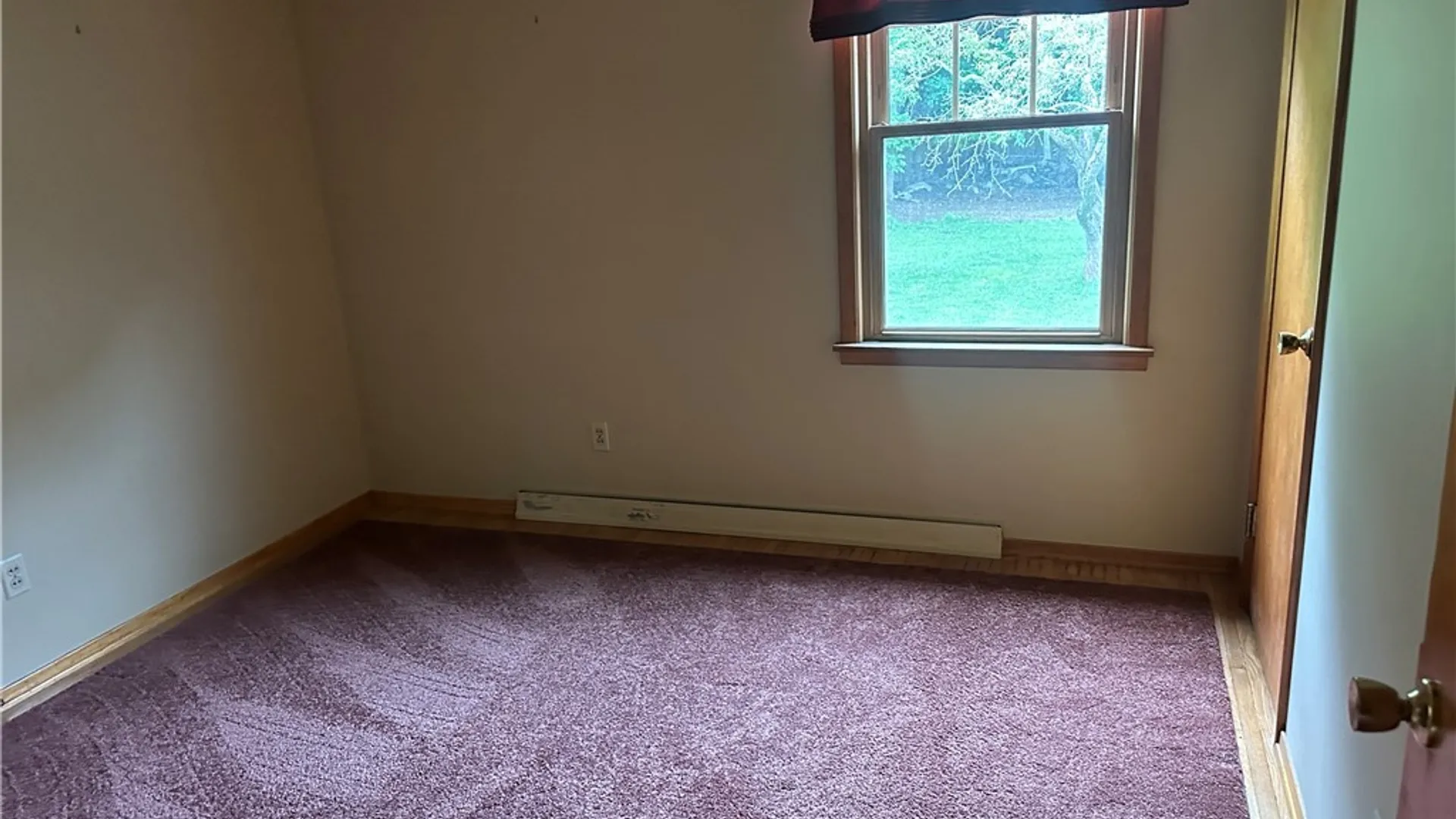 Property at 149 Newman Street, Concord, NY 14141 17