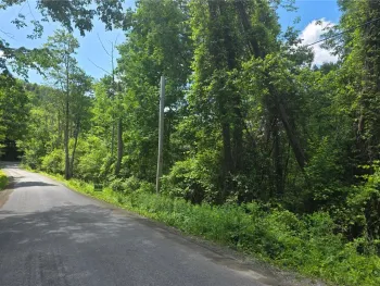 Property at Lippitt Development Road, Middlefield, NY 13326