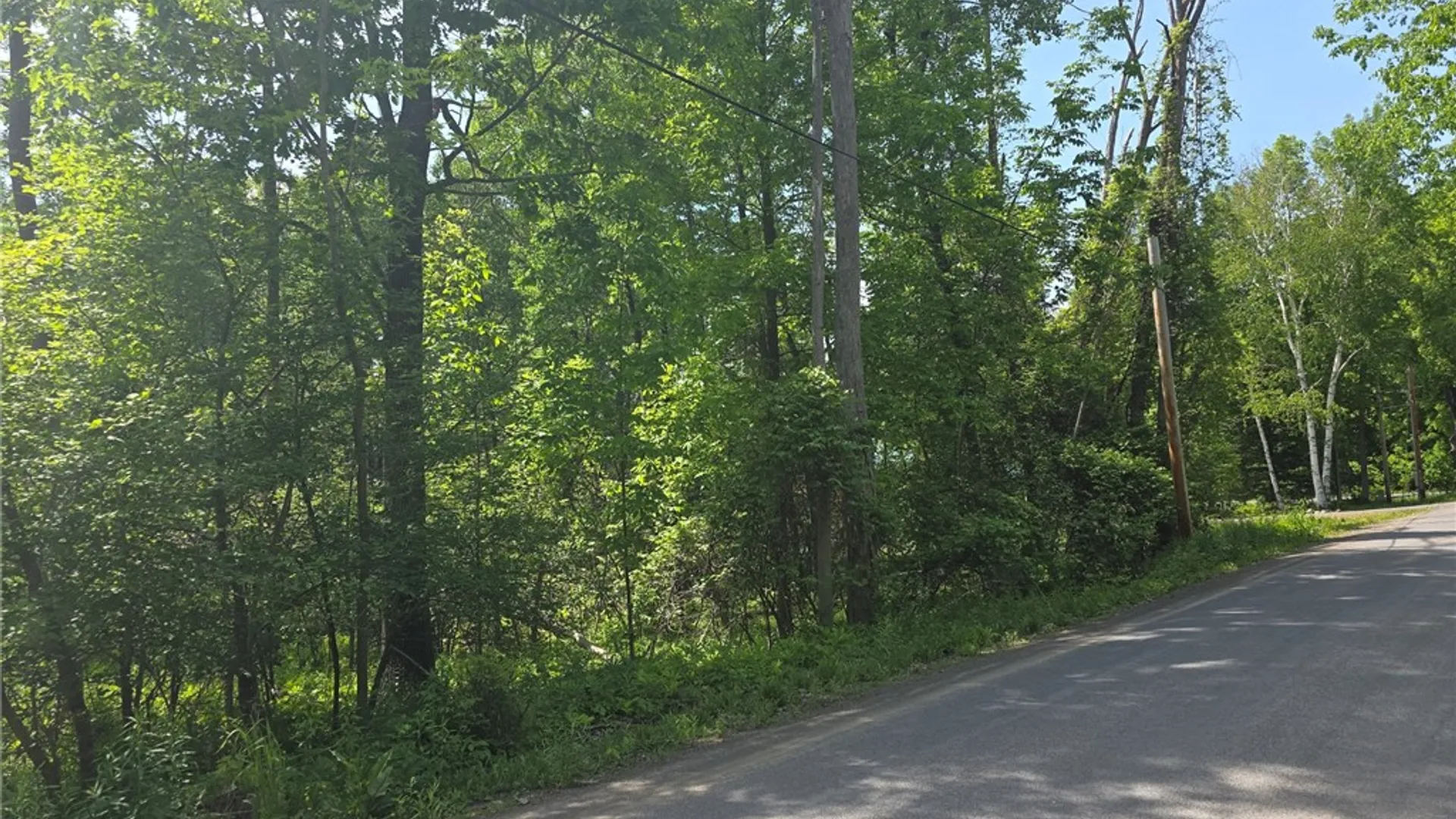 Property at Lippitt Development Road, Middlefield, NY 13326 2