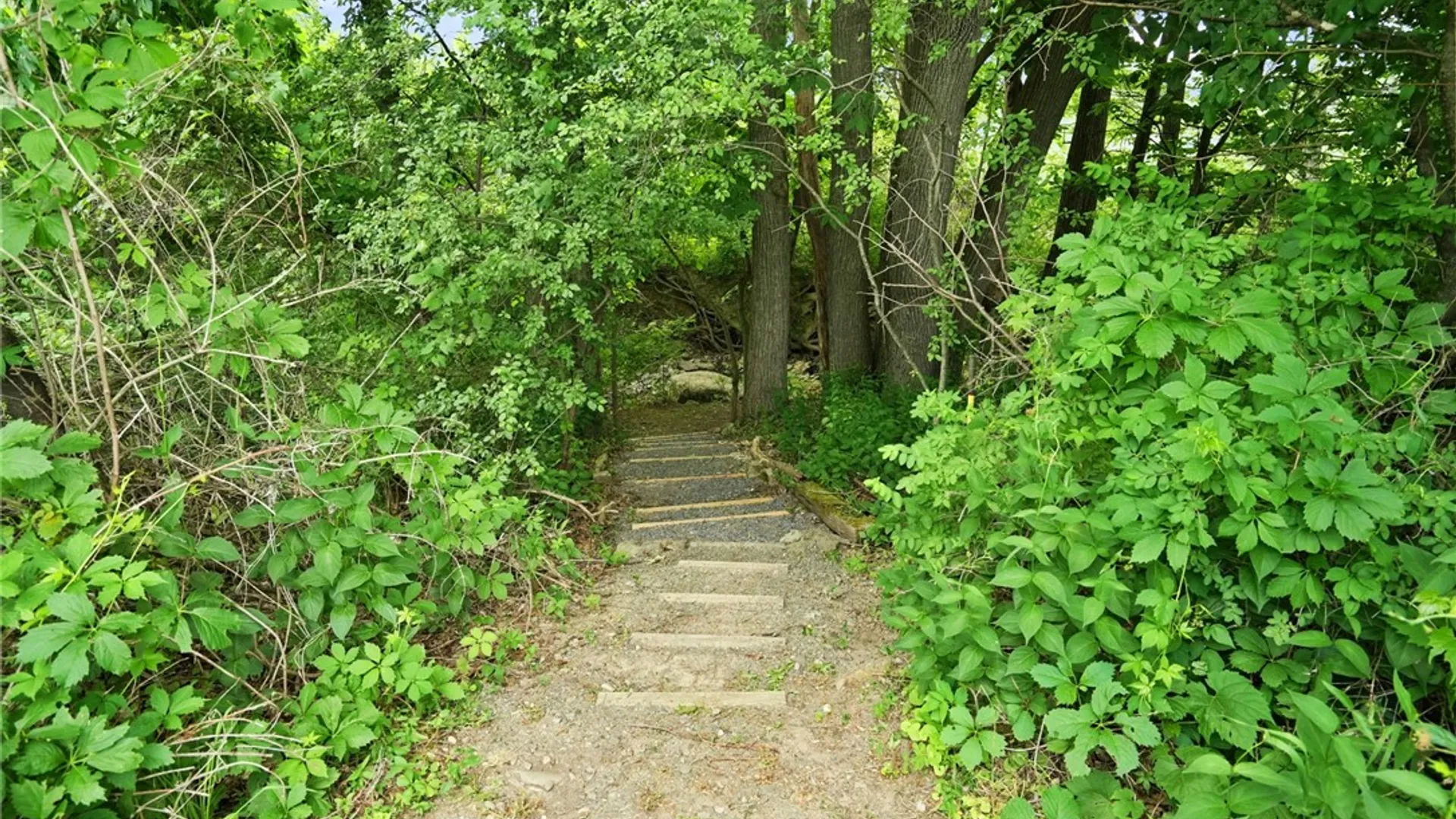 Property at 150 Westhaven Road, Ithaca Town, NY 14850 45