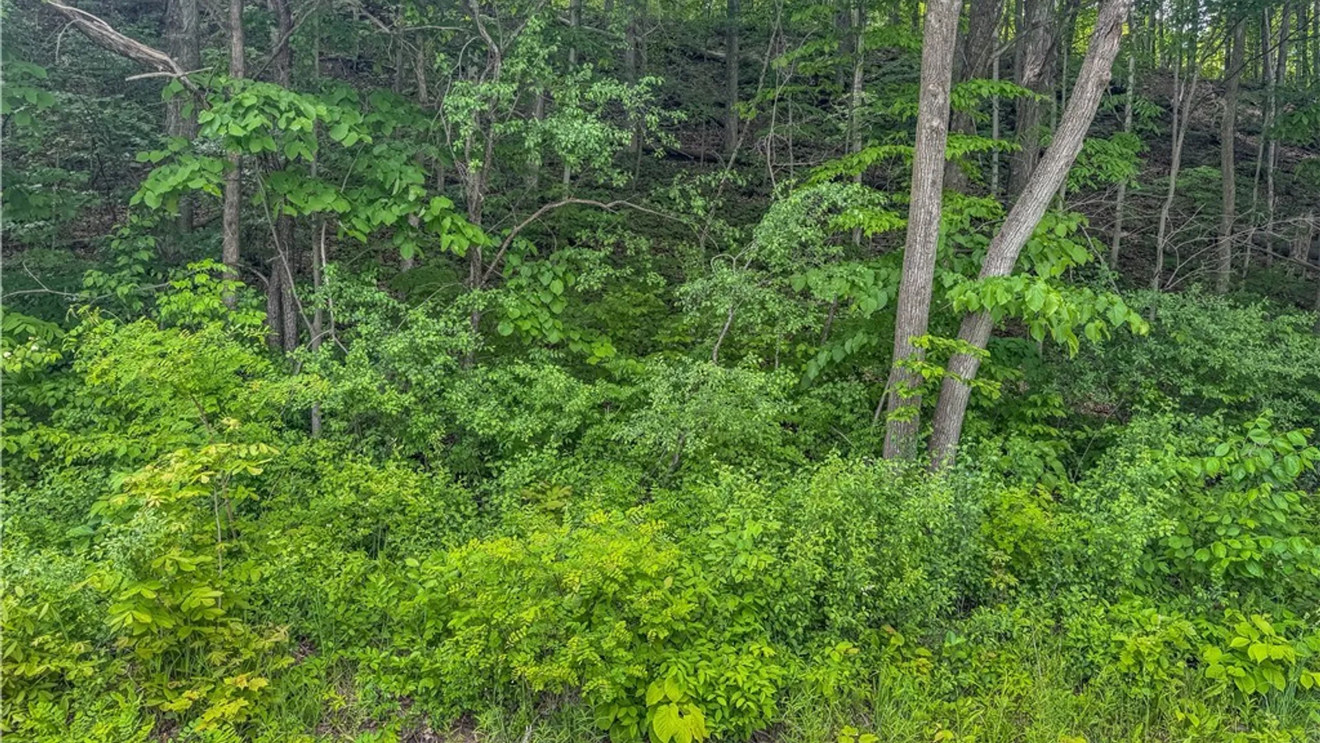 Property at Co Rte 11, Clayton, NY 13624 9