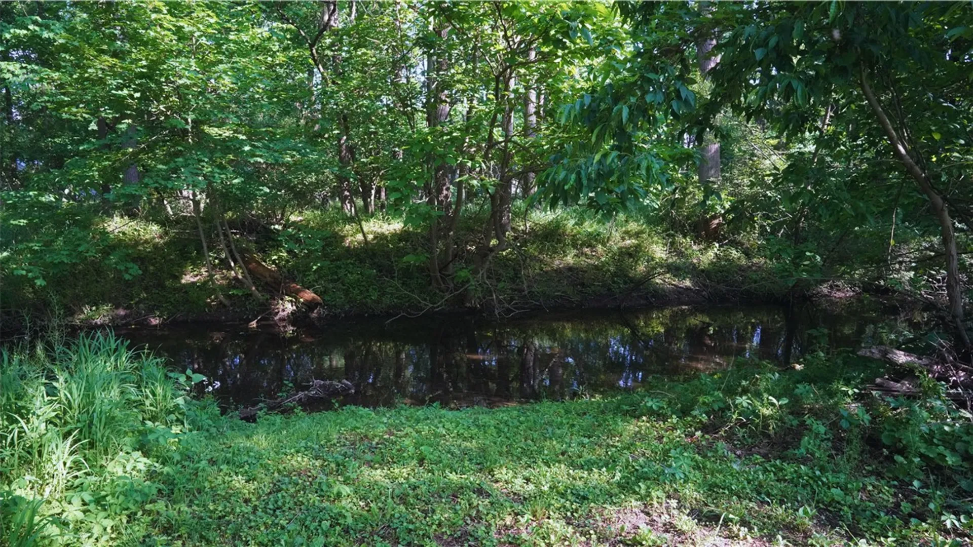 Property at 4 Wyvil Avenue, Wheatland, NY 14546 24