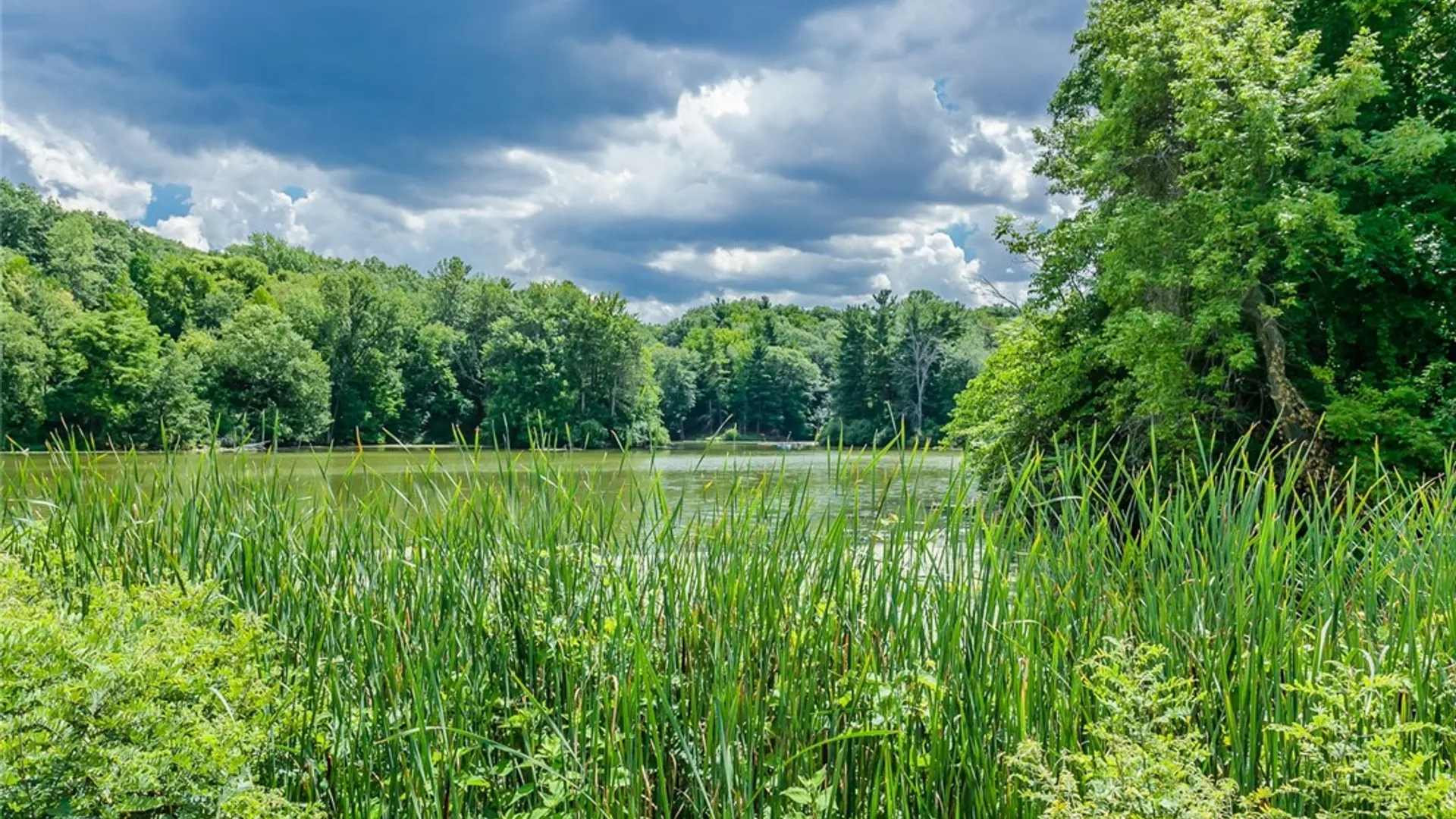 Property at 83 Wildmere Road, Irondequoit, NY 14617 42