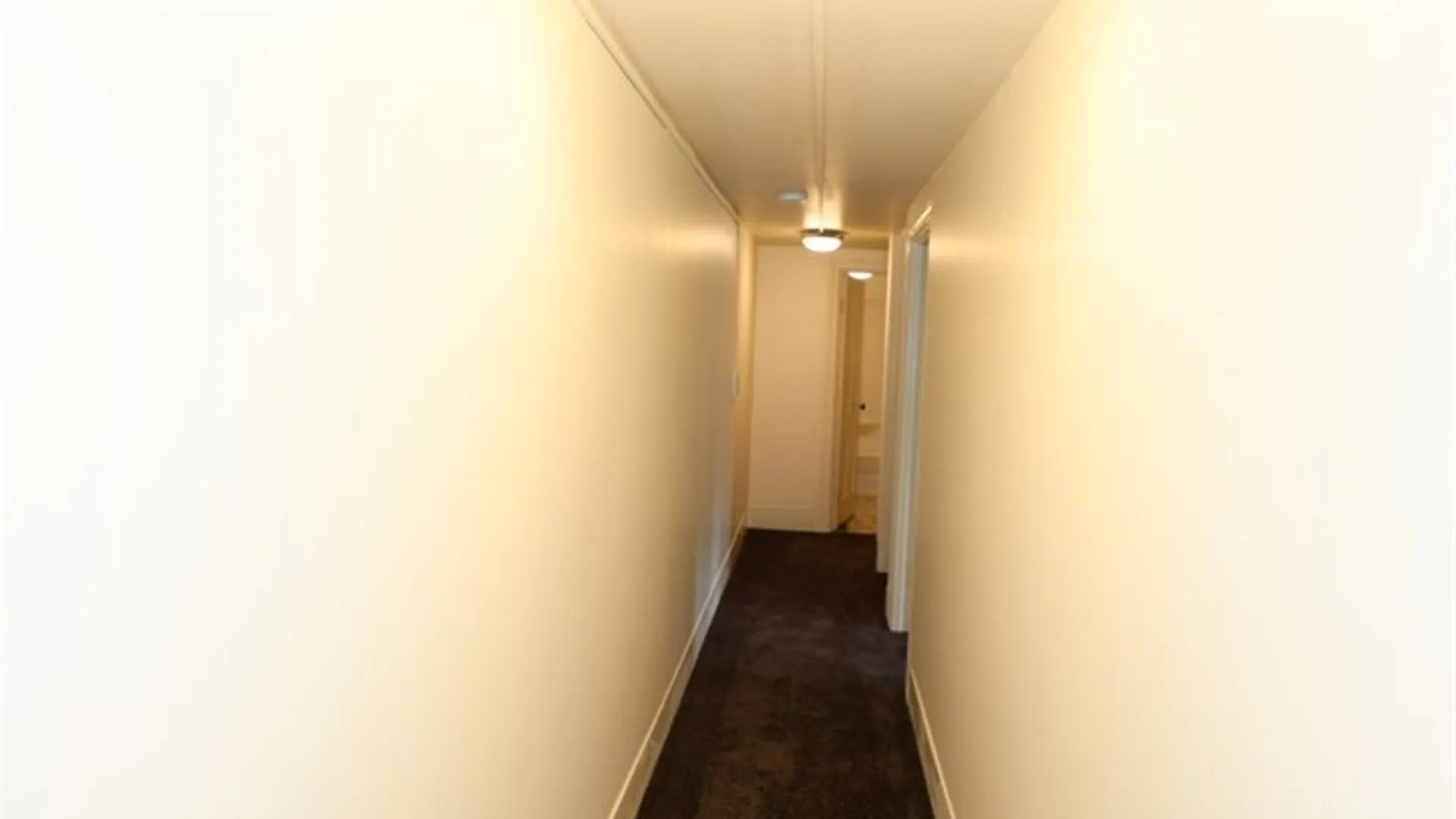 Property at 228 Davidson Avenue, Canandaigua City, NY 14424 26