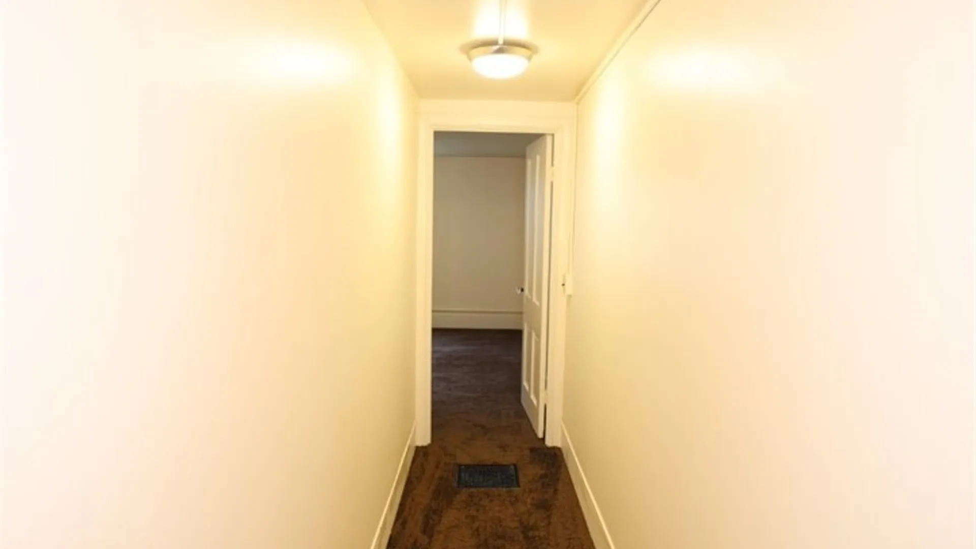 Property at 228 Davidson Avenue, Canandaigua City, NY 14424 29