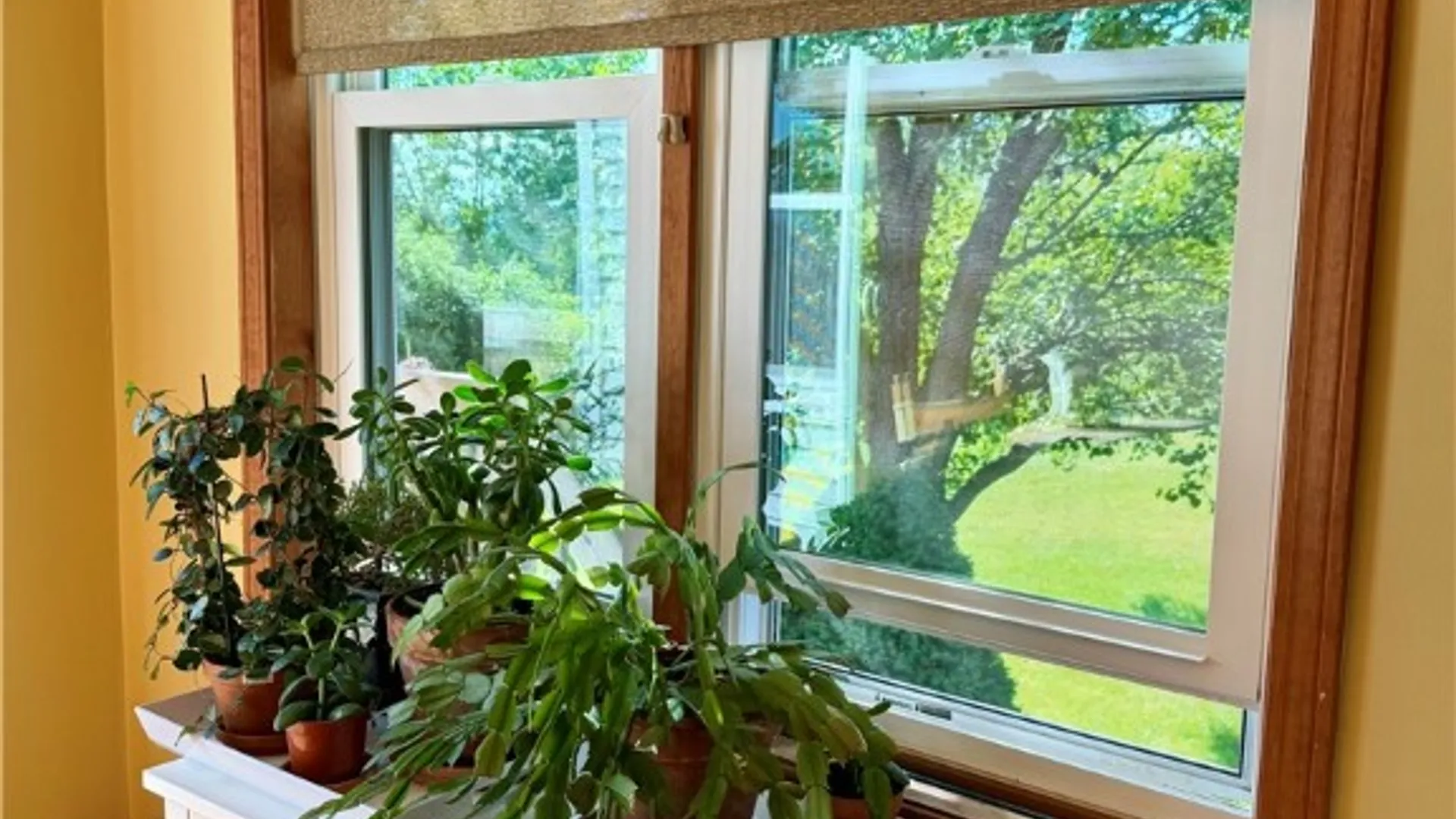 Property at 391 Teton Court, Ithaca Town, NY 14850 16