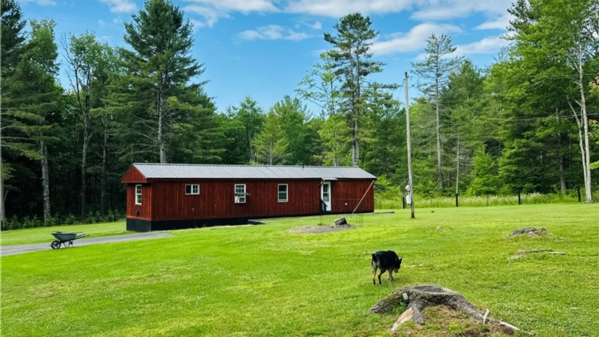 Property at 385 Lyon Road, Bainbridge, NY 13733 8
