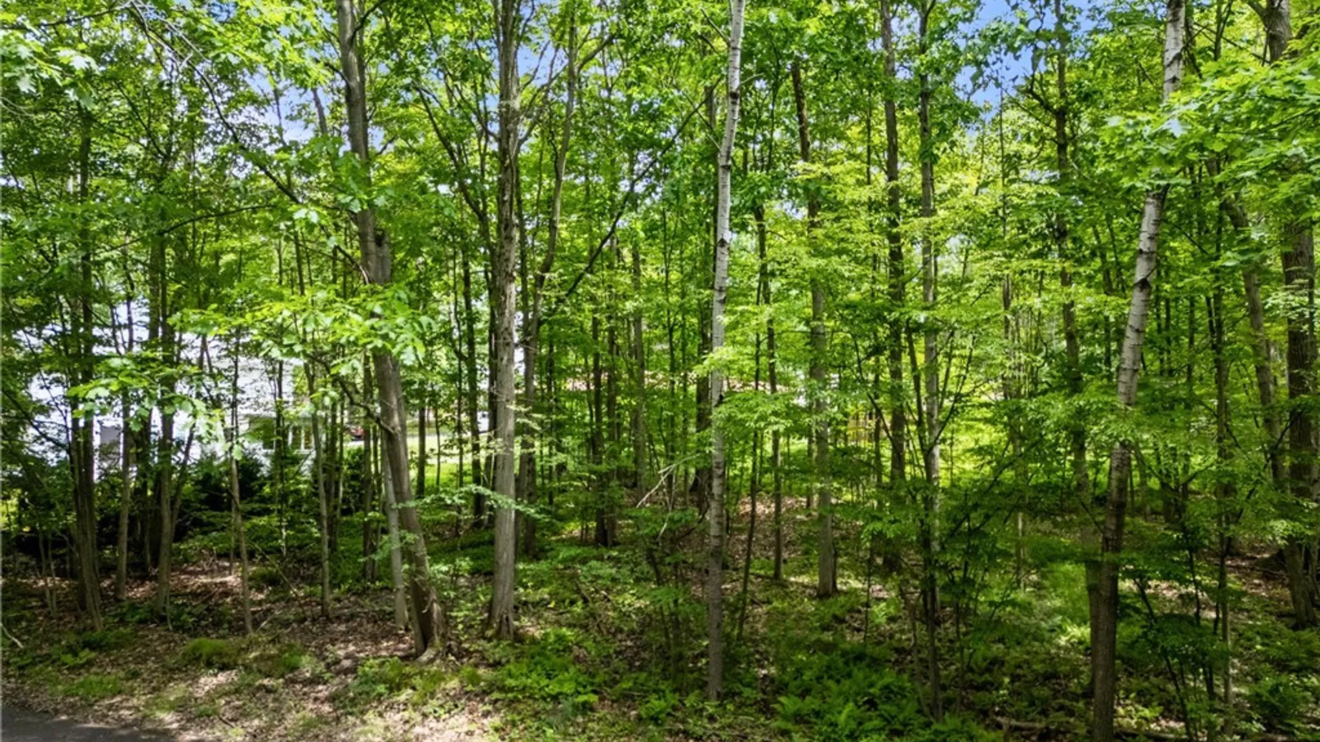 Property at Park Lane, Jamestown, NY 14701 3