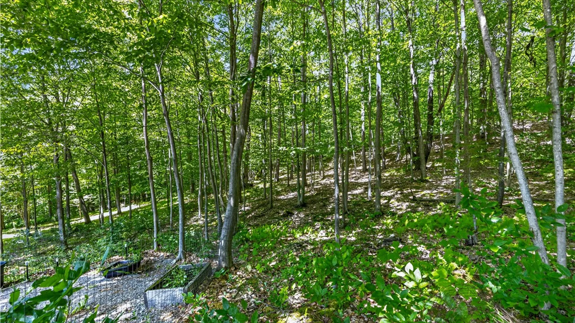 Property at 7681 Dutch Hollow Road, Springwater, NY 14572 48