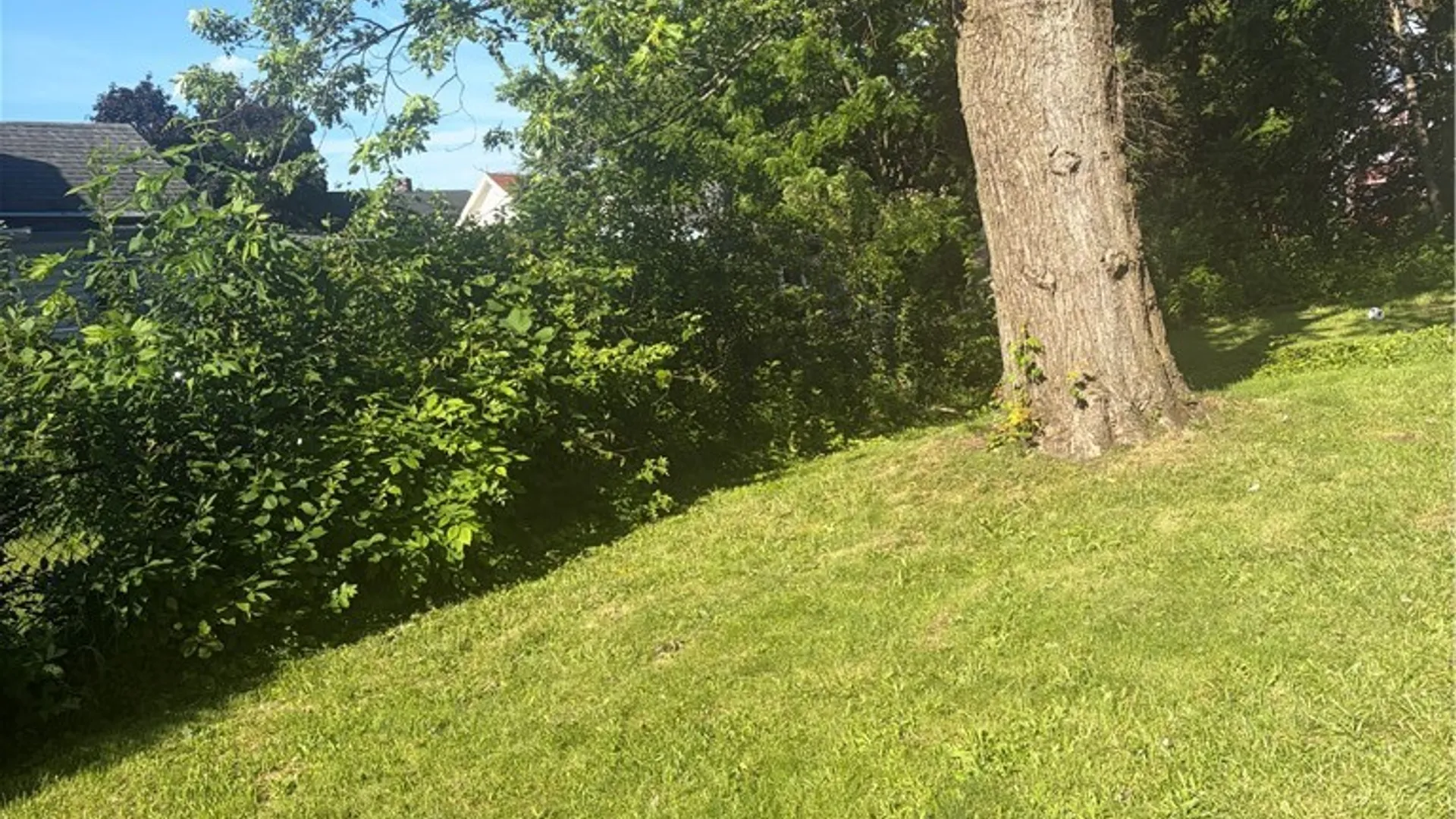 Property at 40 Federal Avenue, Buffalo, NY 14215 2