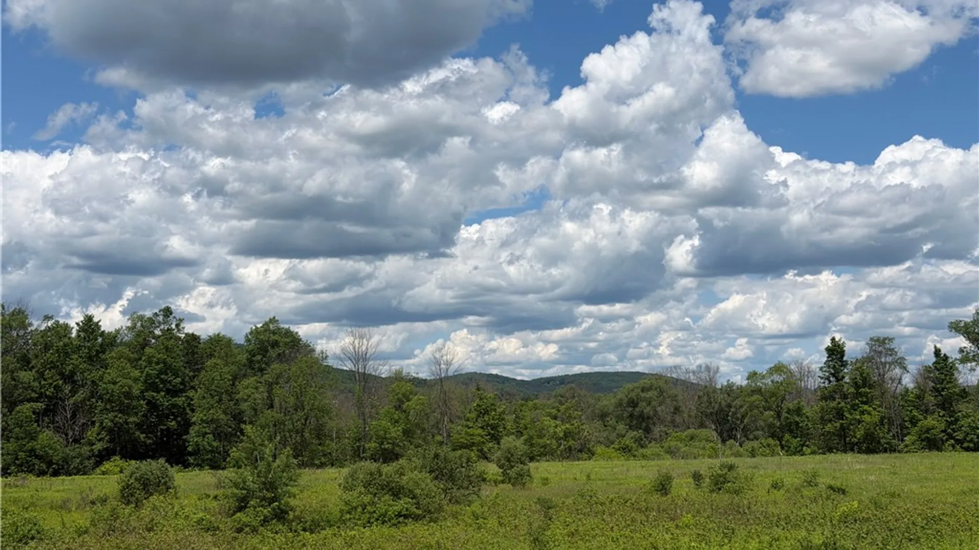 Property at County Highway 33, Middlefield, NY 13326 7