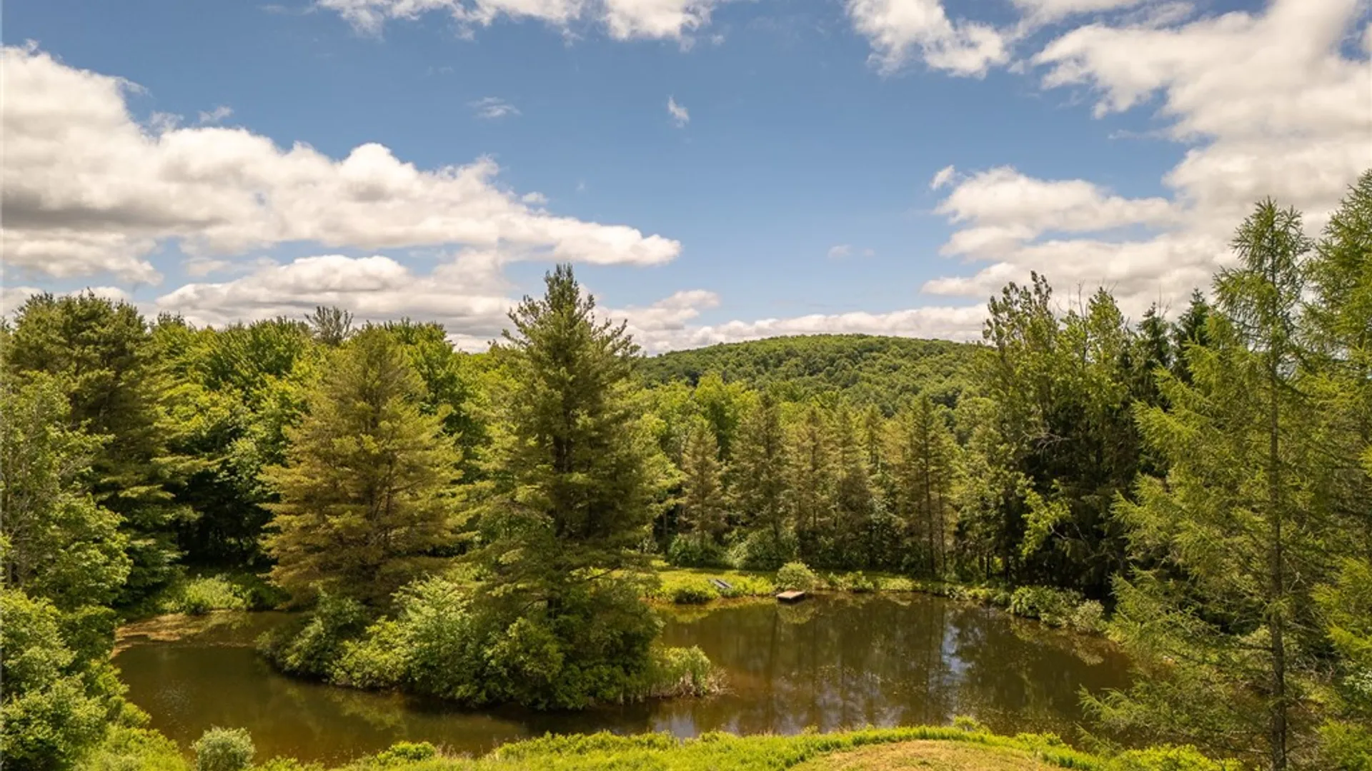 Property at 1260 W Peakes Brook Road, Meredith, NY 13753 2
