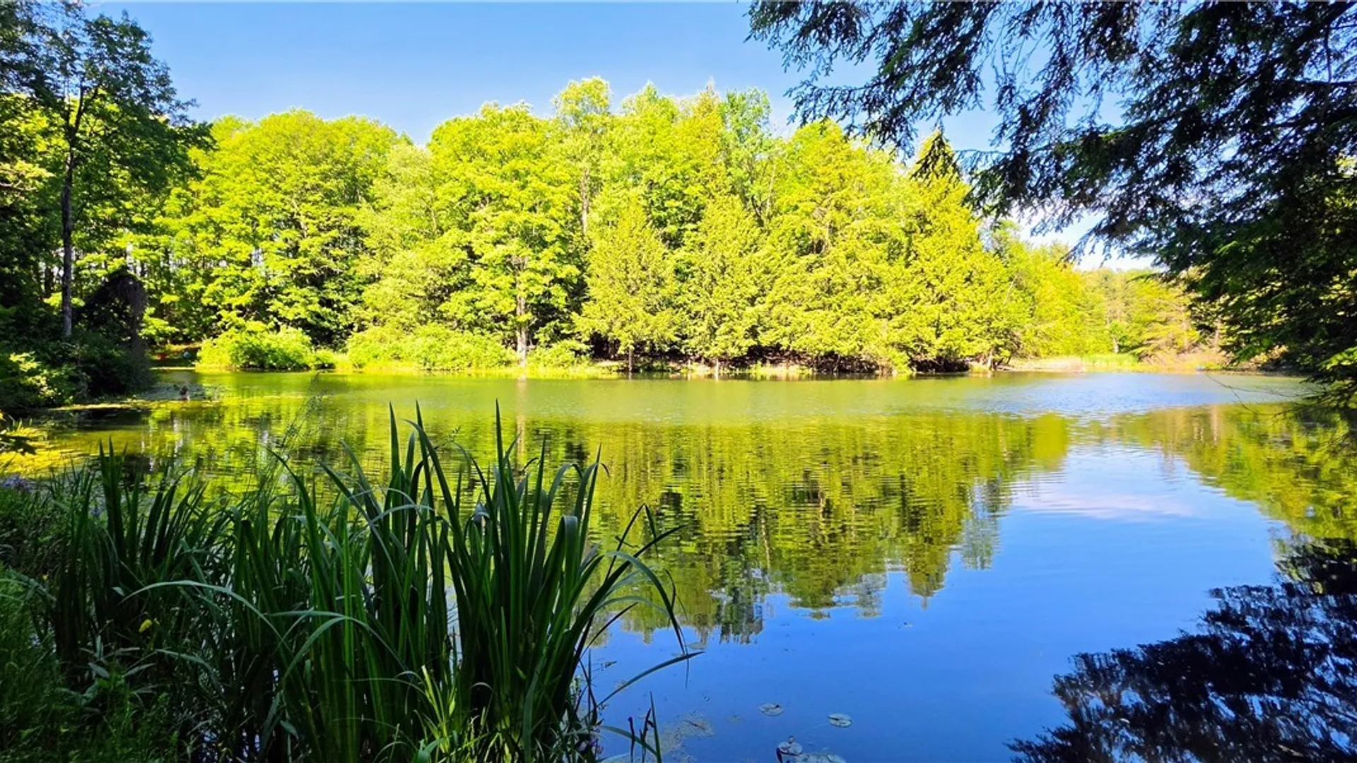 Property at 00 Route 78 & 98, Java, NY 14082 2