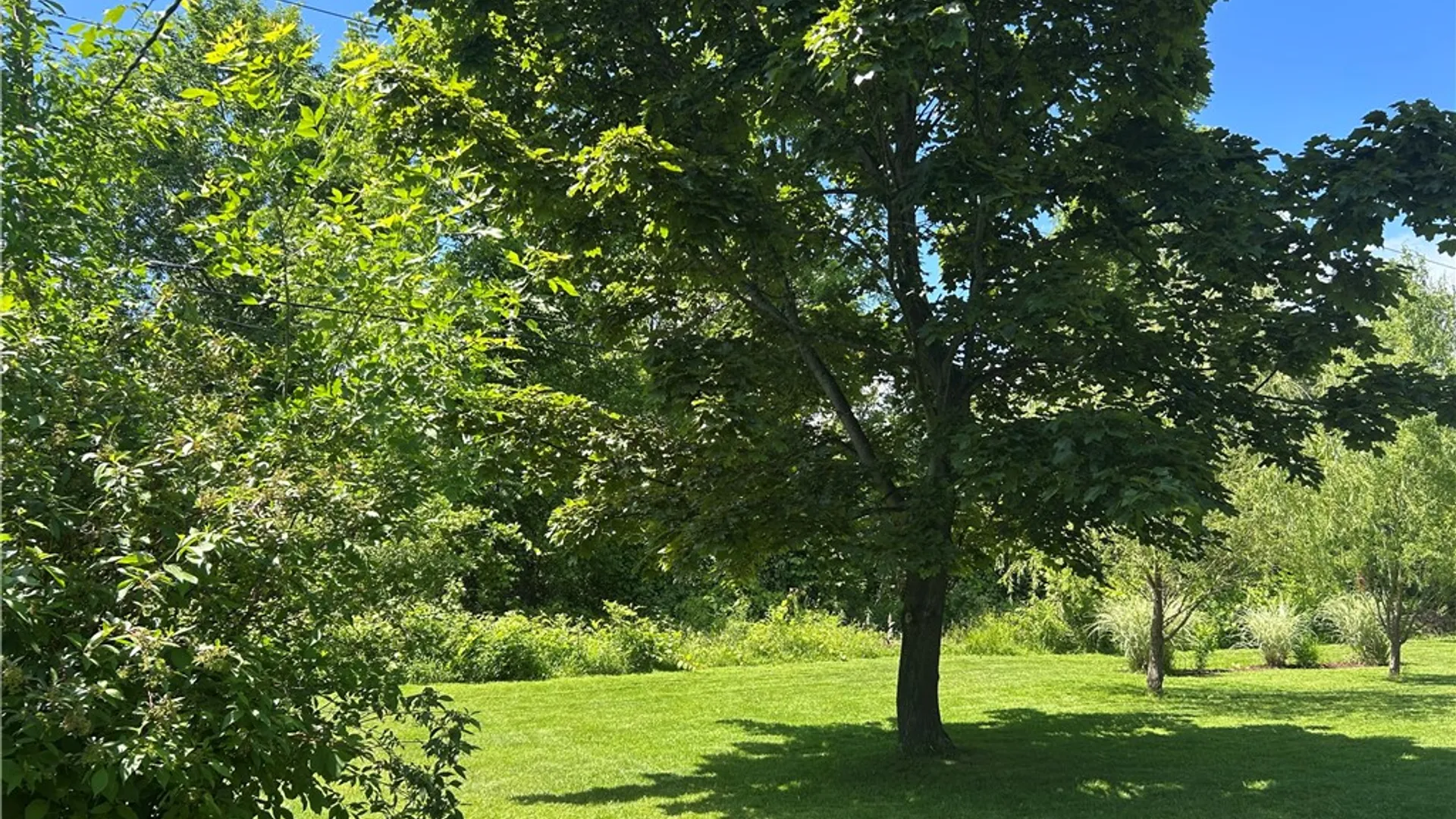 Property at 225 N Park Drive, Greece, NY 14612 22