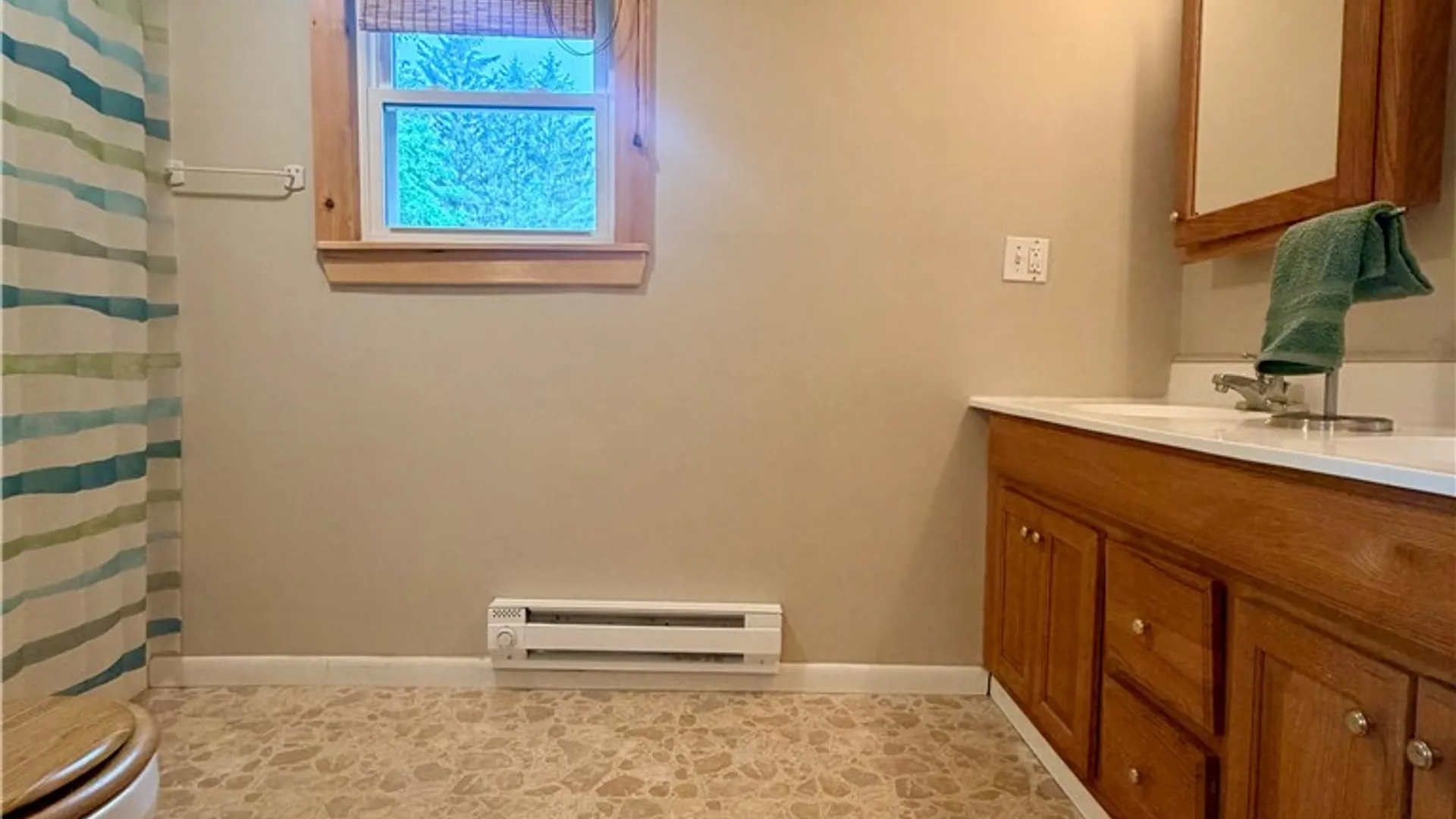 Property at 7 Fowler Street, Bath, NY 14810 22