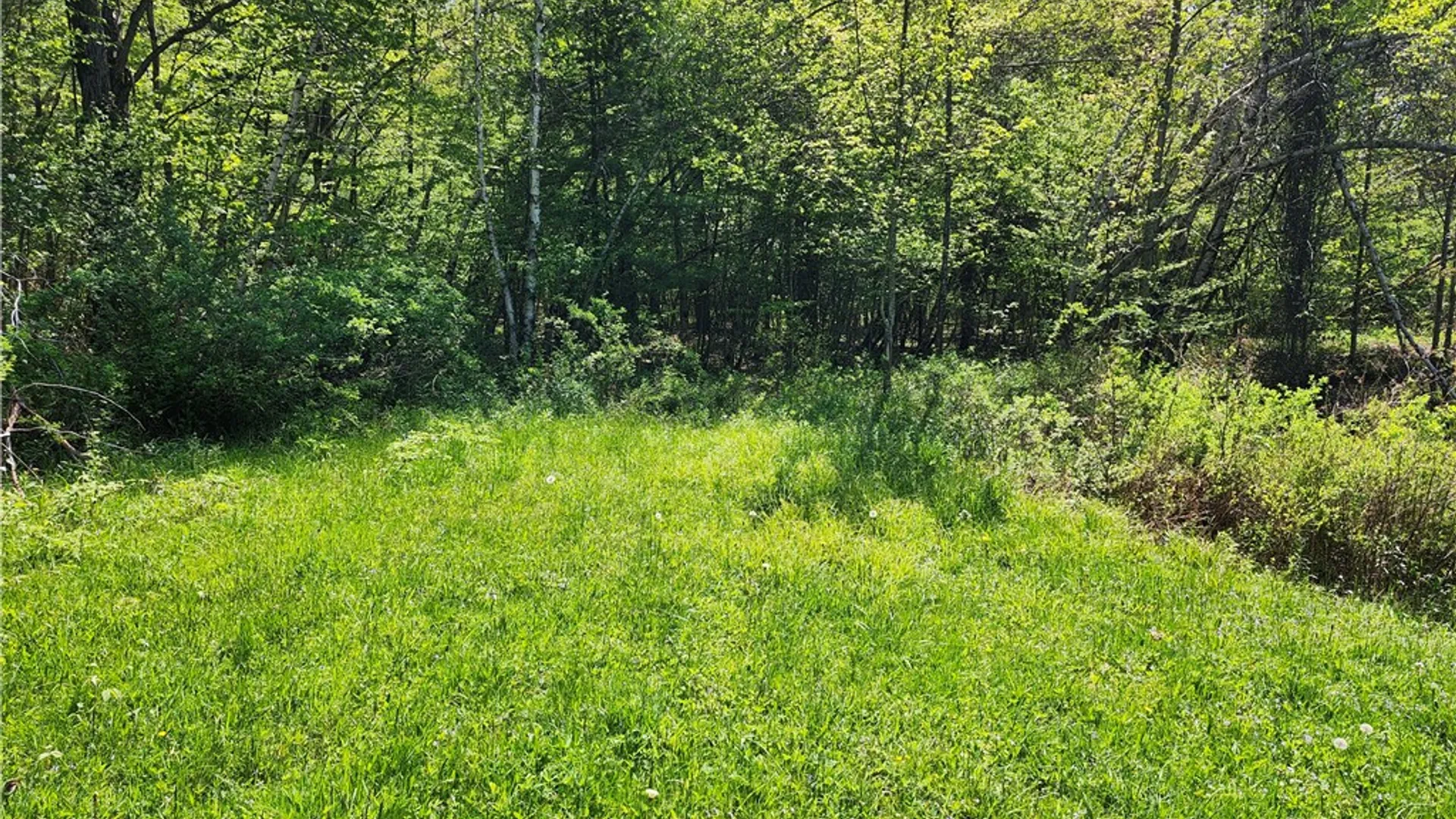 Property at Houck Road, Masonville, NY 13804 2