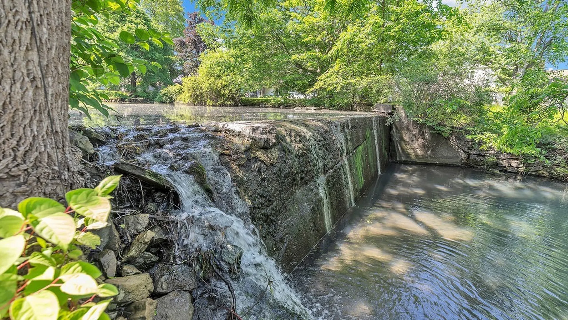 Property at 72 N Long Street, Amherst, NY 14221 38