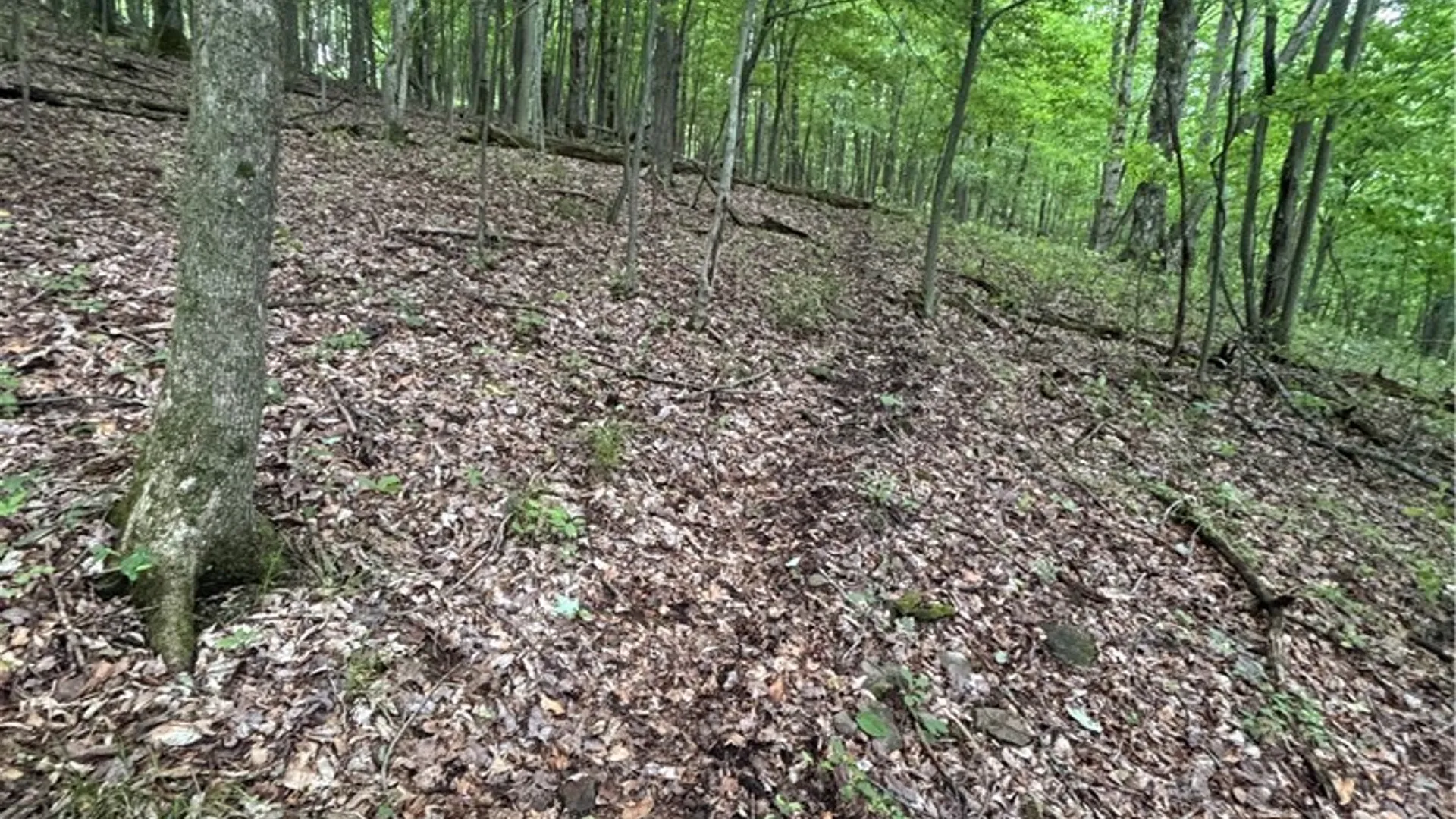 Property at 1471 Loomis Road, West Union, NY 14877 50