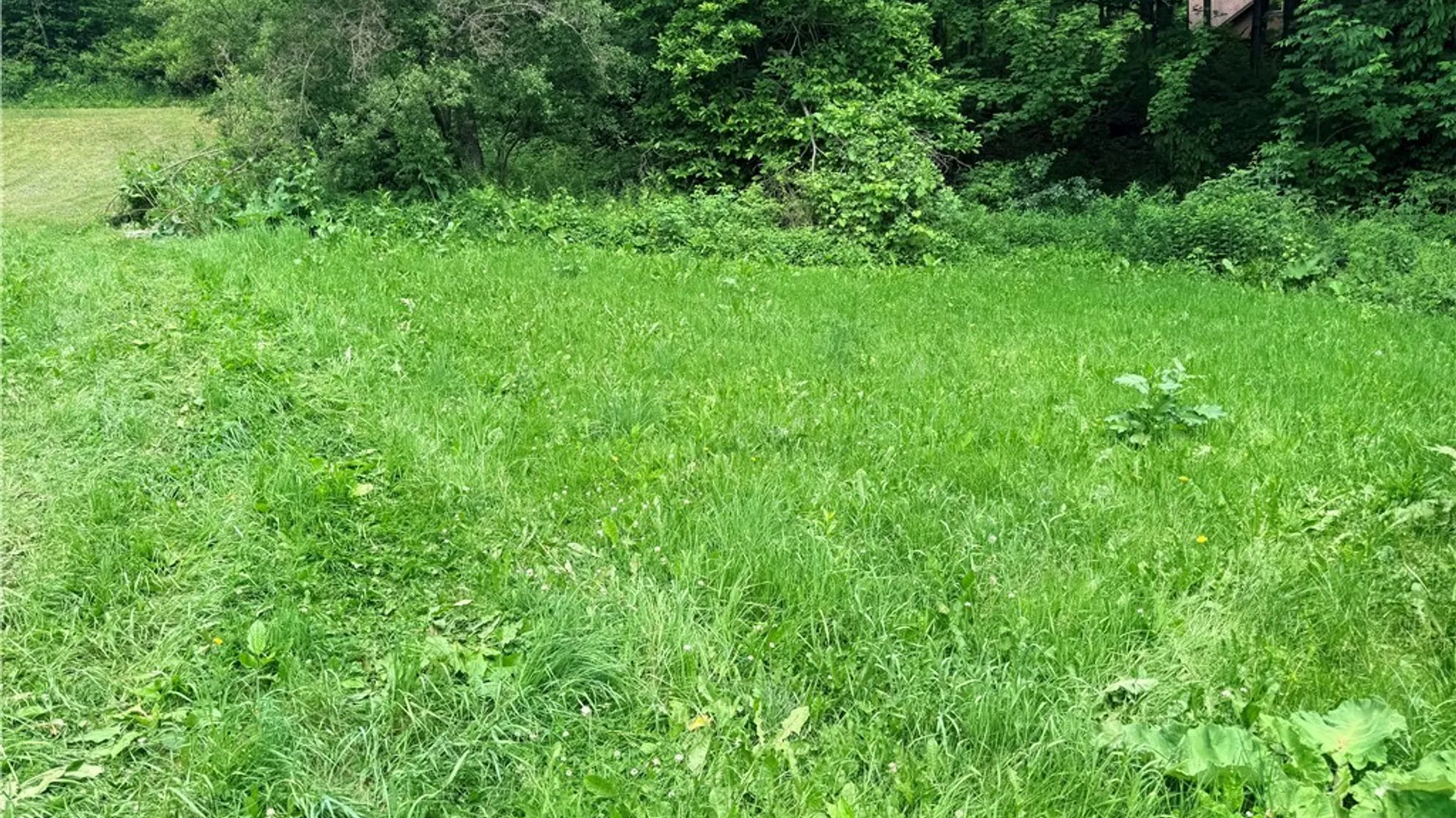 Property at 6326 E Homer Baltimore Road, Preble, NY 13077 22