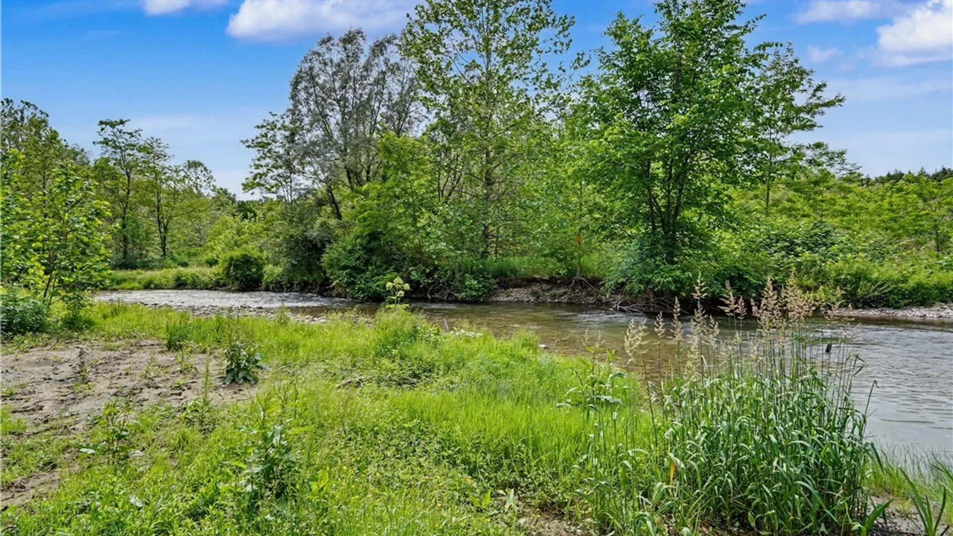 Property at 66 Grove Street, Yorkshire, NY 14042 50