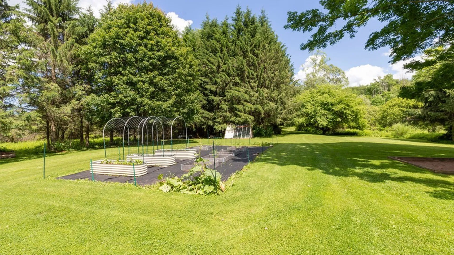 Property at 4124 Nelson Road, Nelson, NY 13035 44