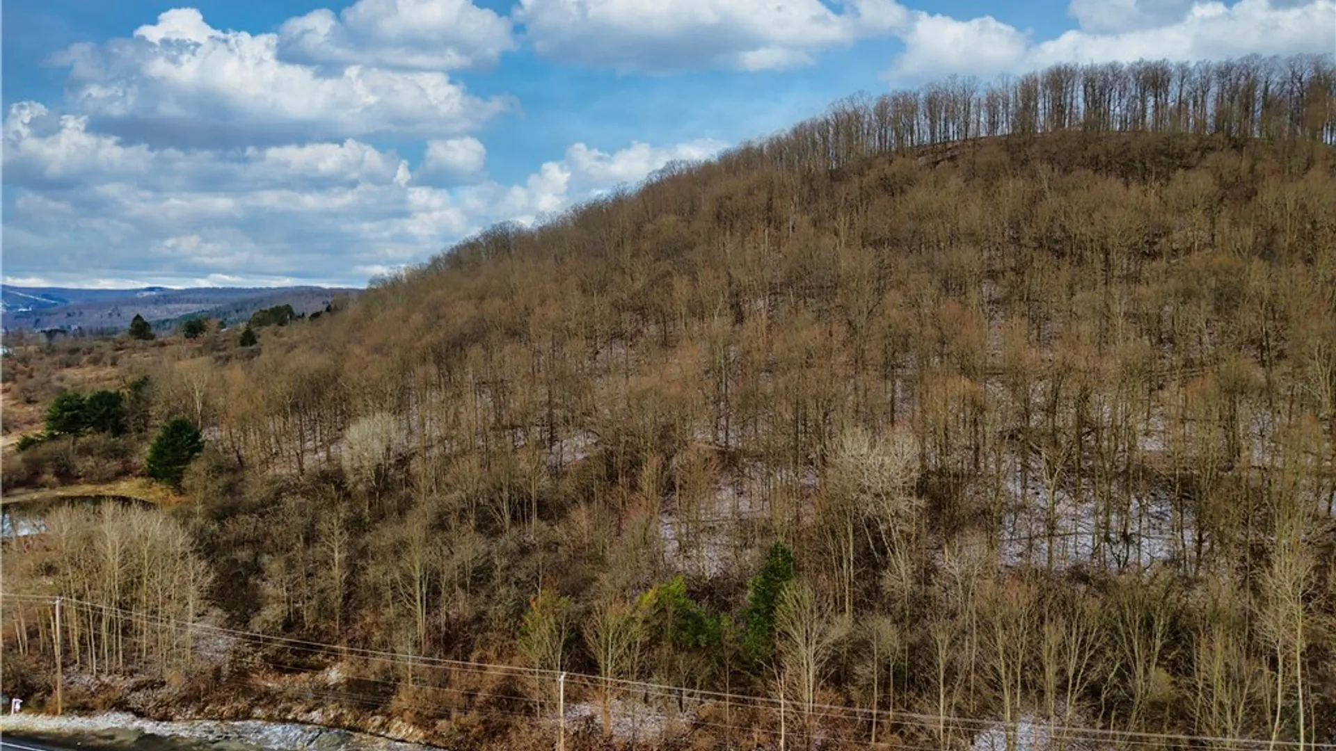 Property at 6020 NYS Rte 242 Lot #5, Ellicottville, NY 14731 3