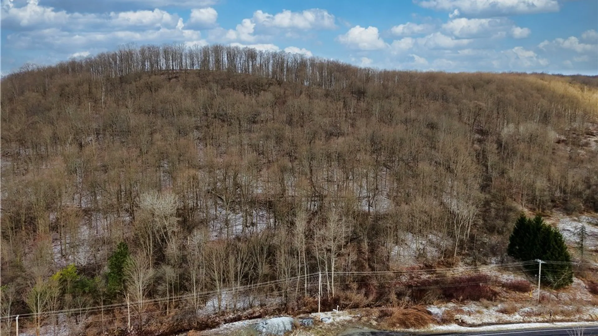 Property at 6010 NYS Rte 242 Lot #6, Ellicottville, NY 14731 4