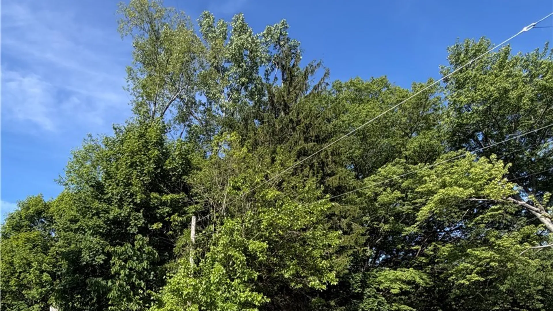 Property at 8598 Florence Avenue, Evans, NY 14006 17
