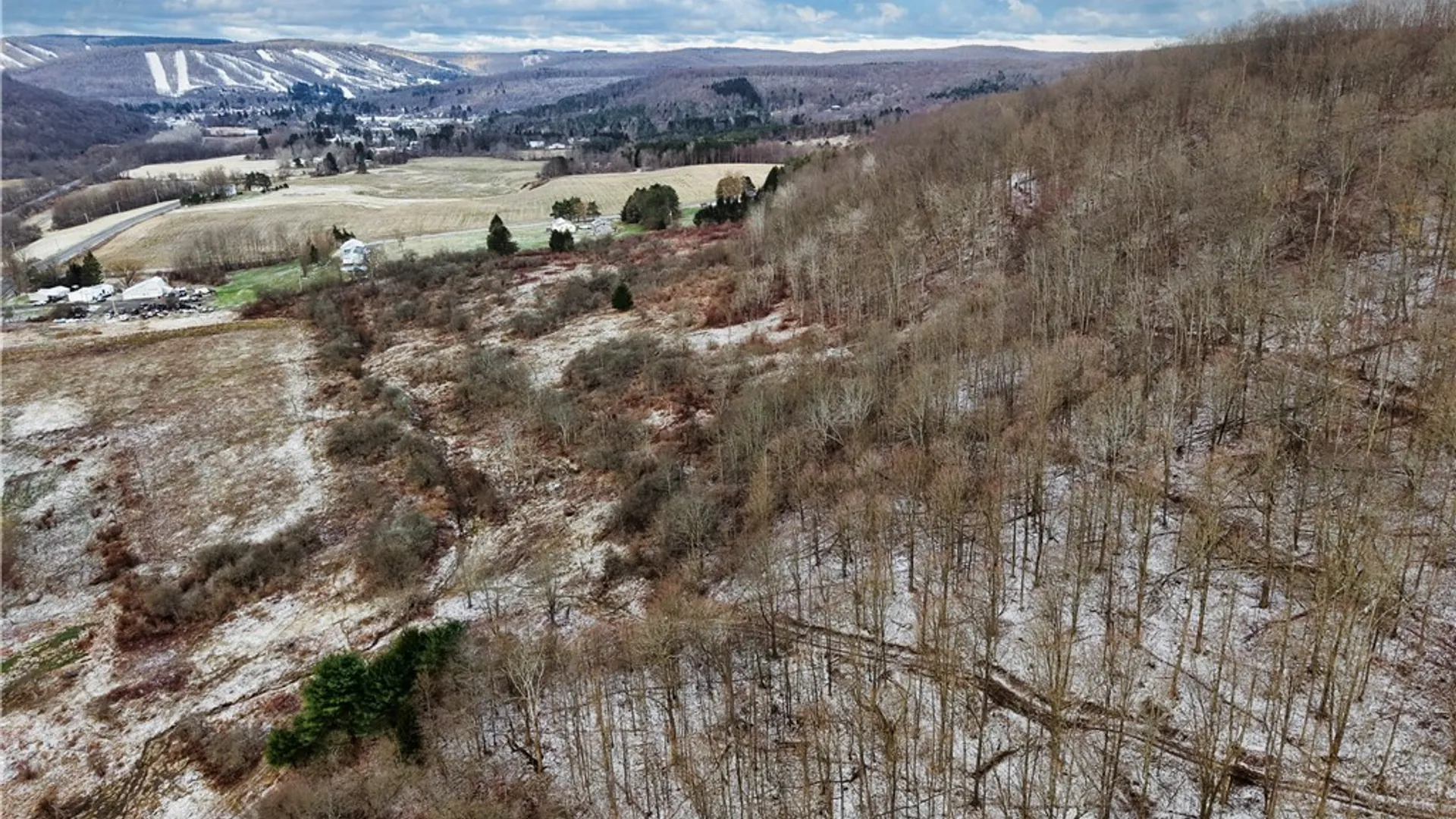 Property at 6096 NYS Rte 242 Lot #1, Ellicottville, NY 14731 2