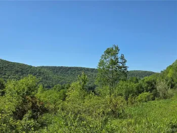 Property at NYS Route 446, Hinsdale, NY 14727