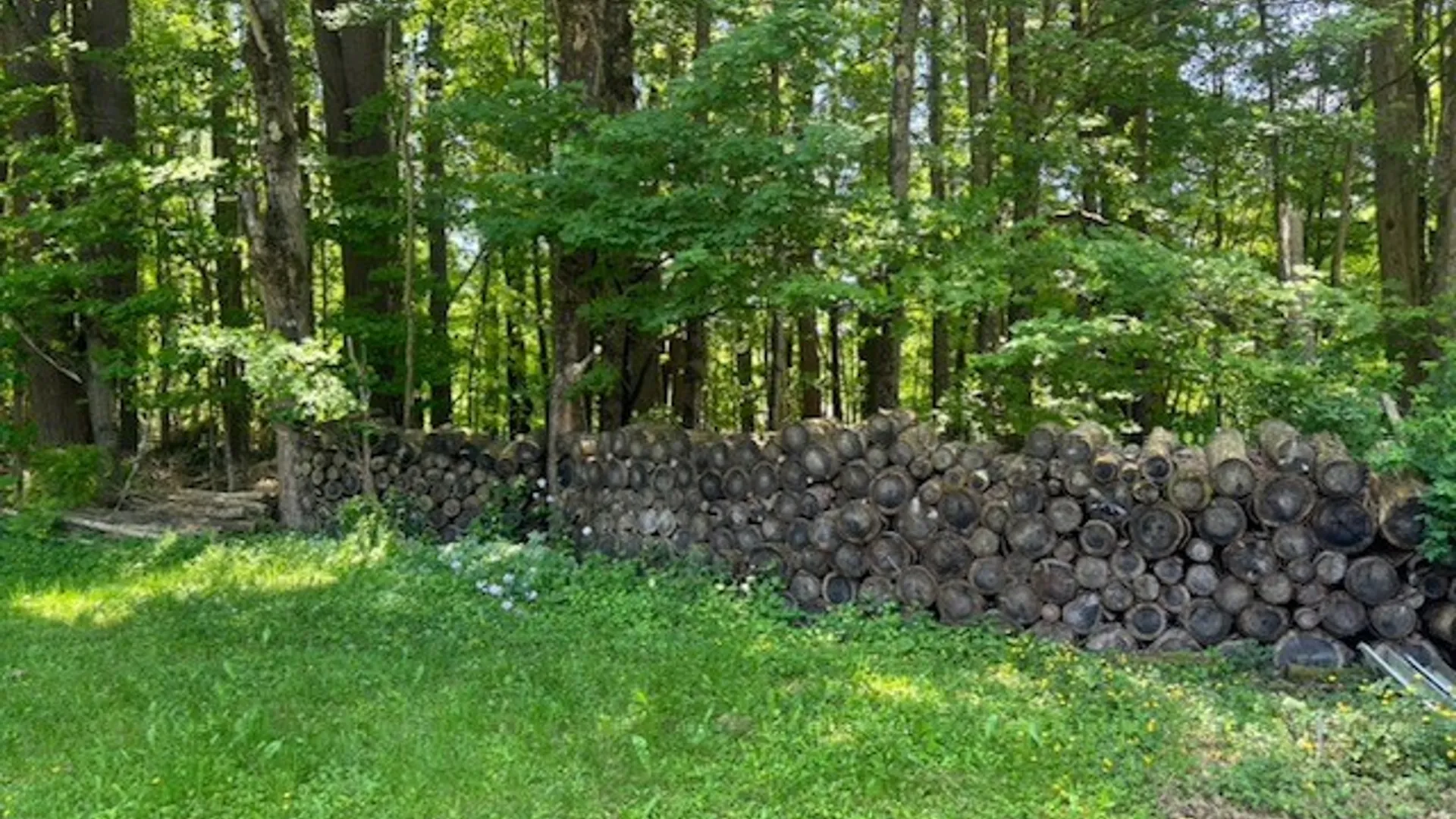 Property at 339 Dry Brook Road, Candor, NY 13864 19