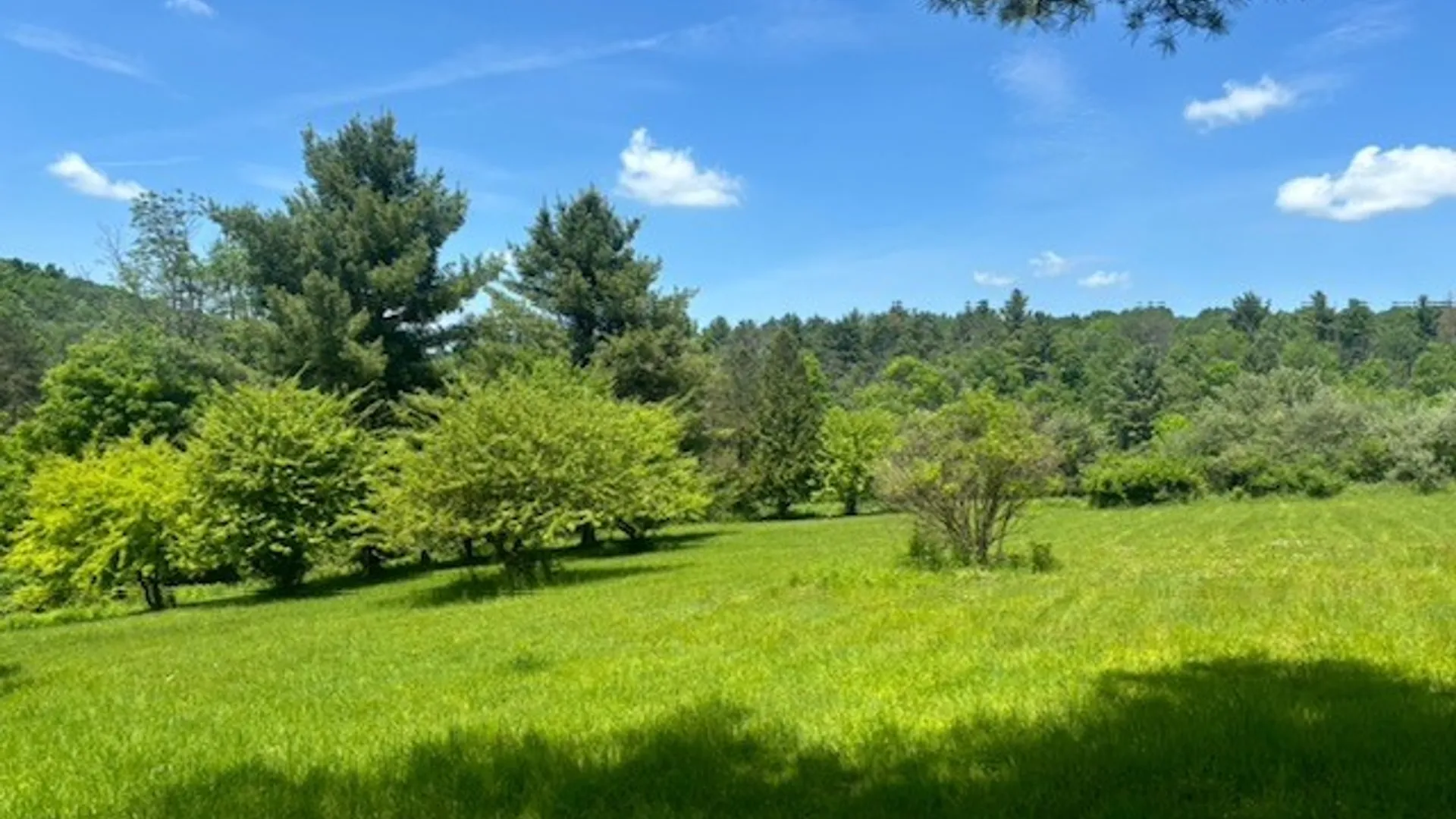 Property at 339 Dry Brook Road, Candor, NY 13864 20